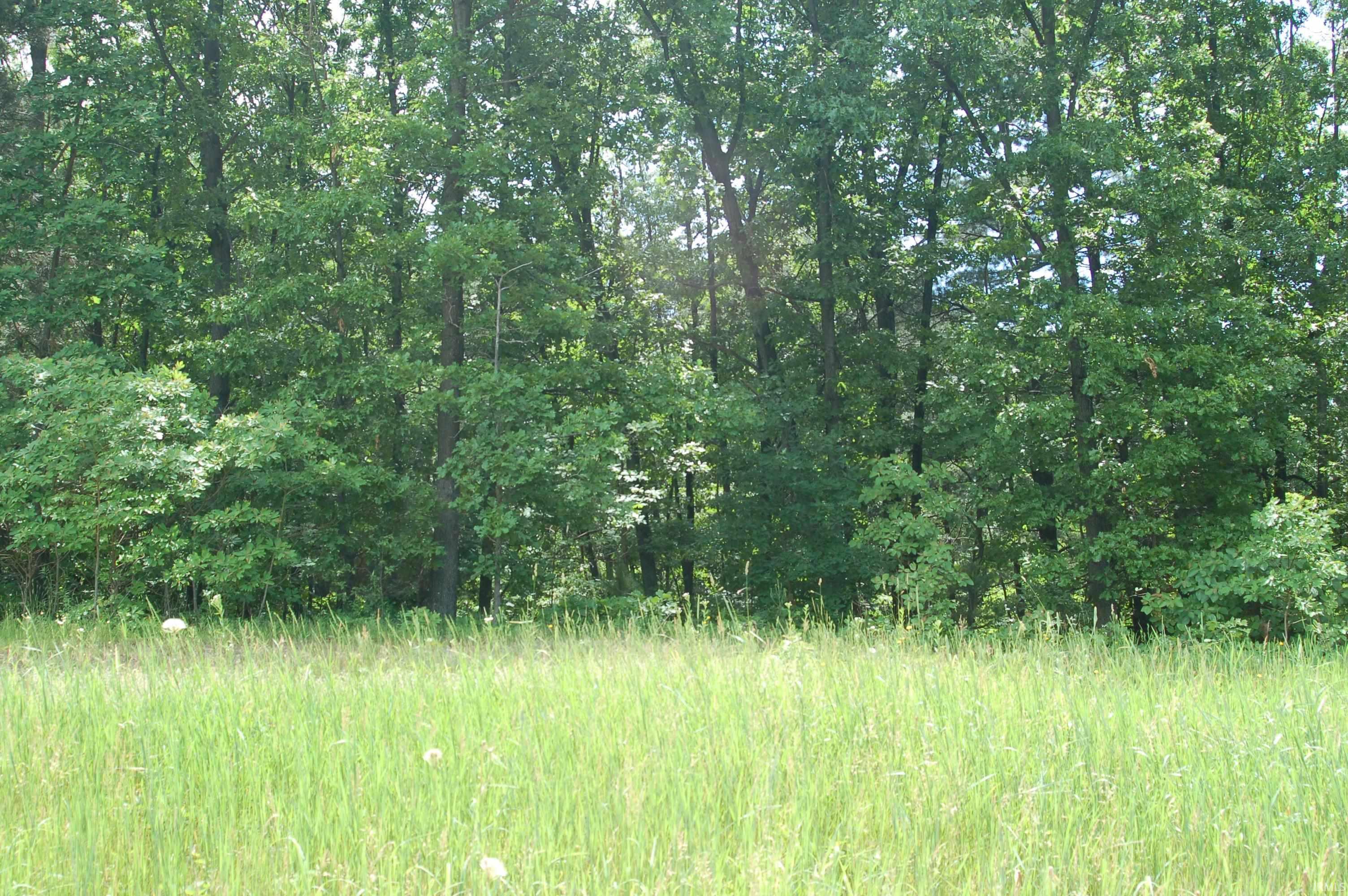 21533 Rivendell Ct Property Photo 1