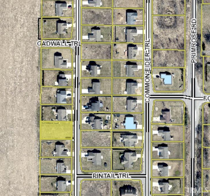 52693 Blue Winged Trail