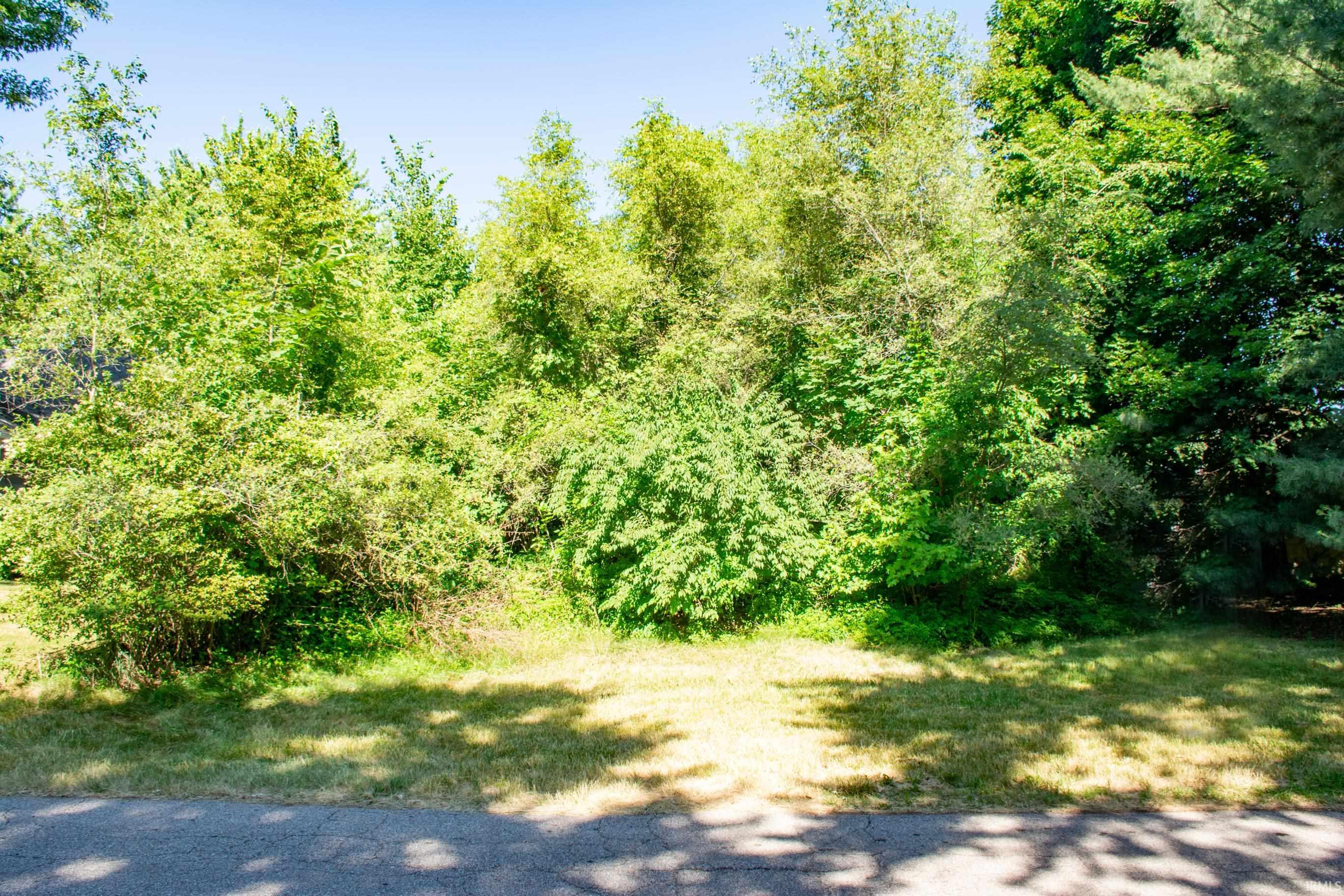 125 Myrtle Street Property Photo 1