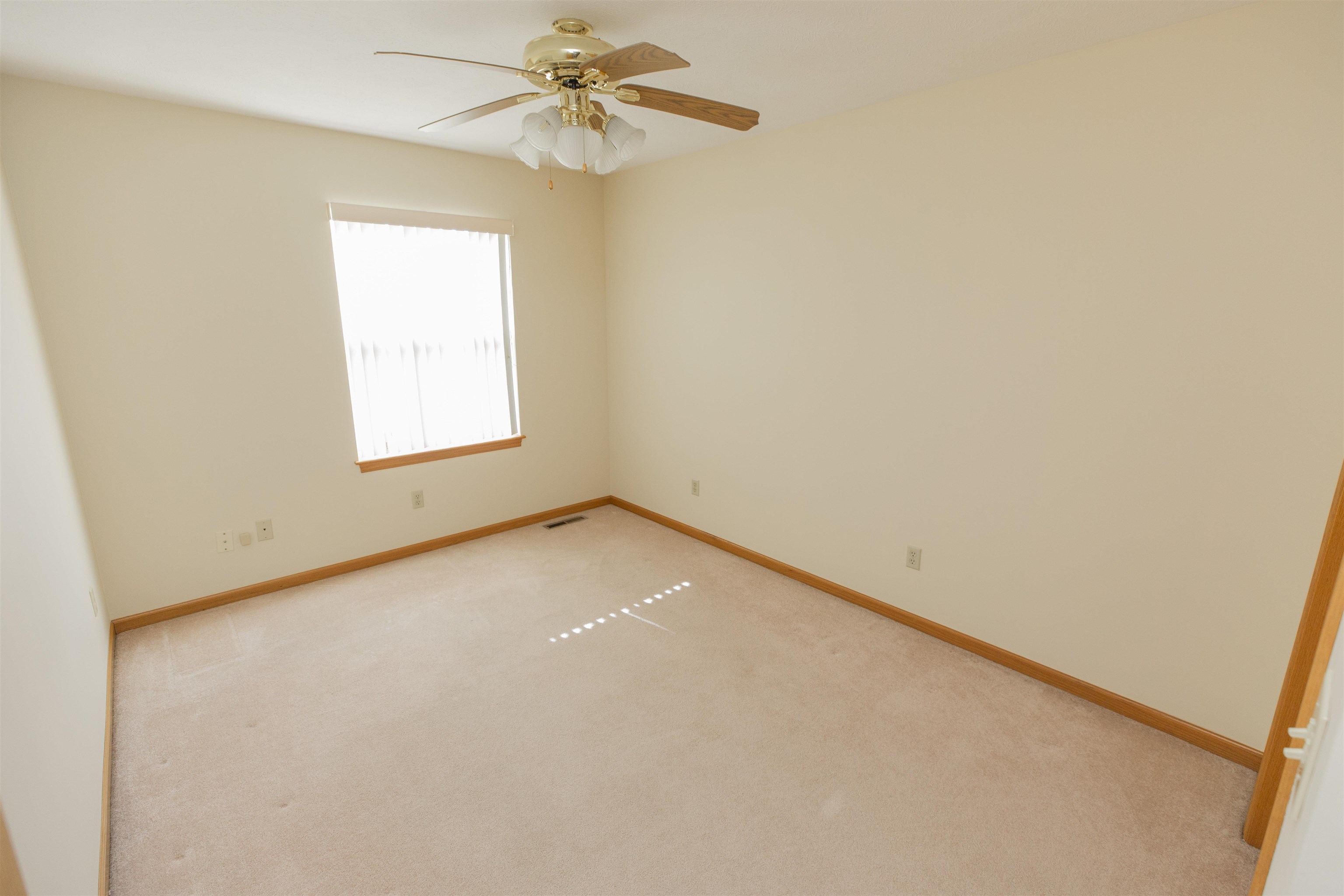 55214 Ivile Avenue Property Photo 21