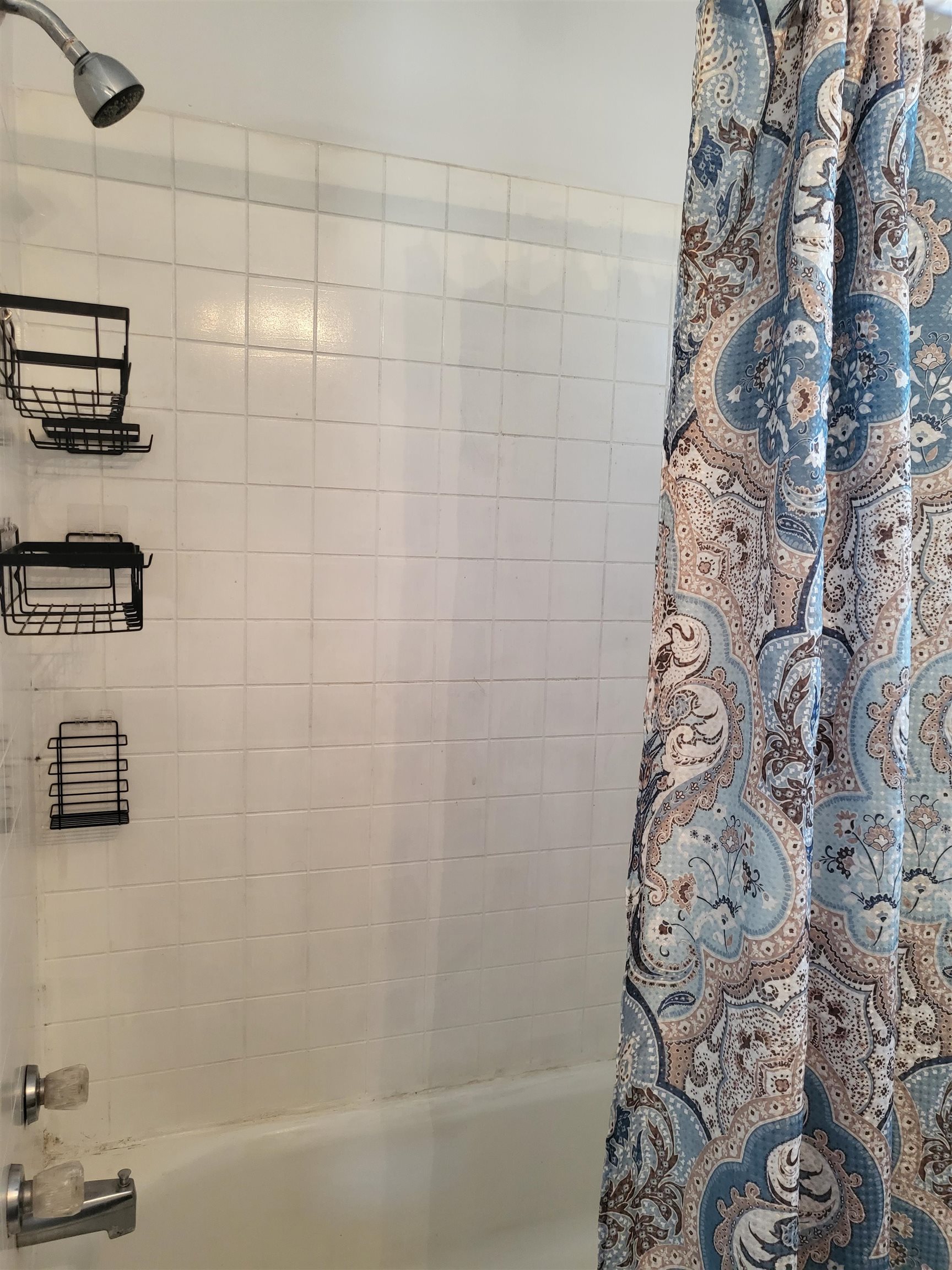 202 Webster Street Property Photo 12
