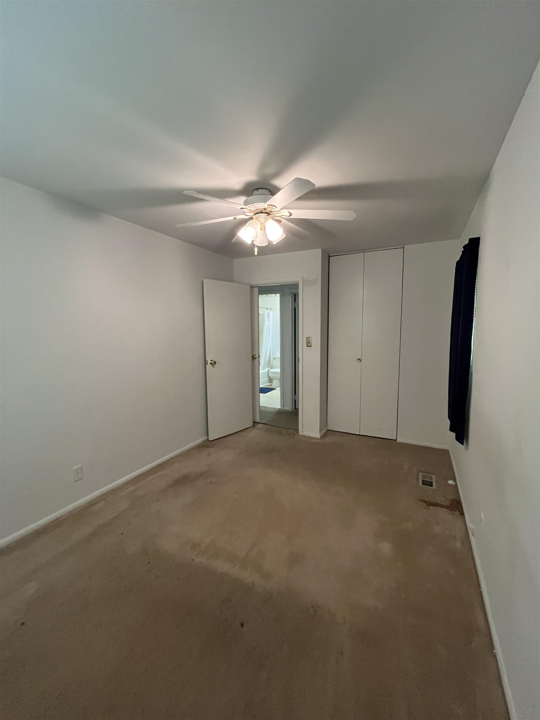 4612 Maple Terrace Parkway Property Photo 27