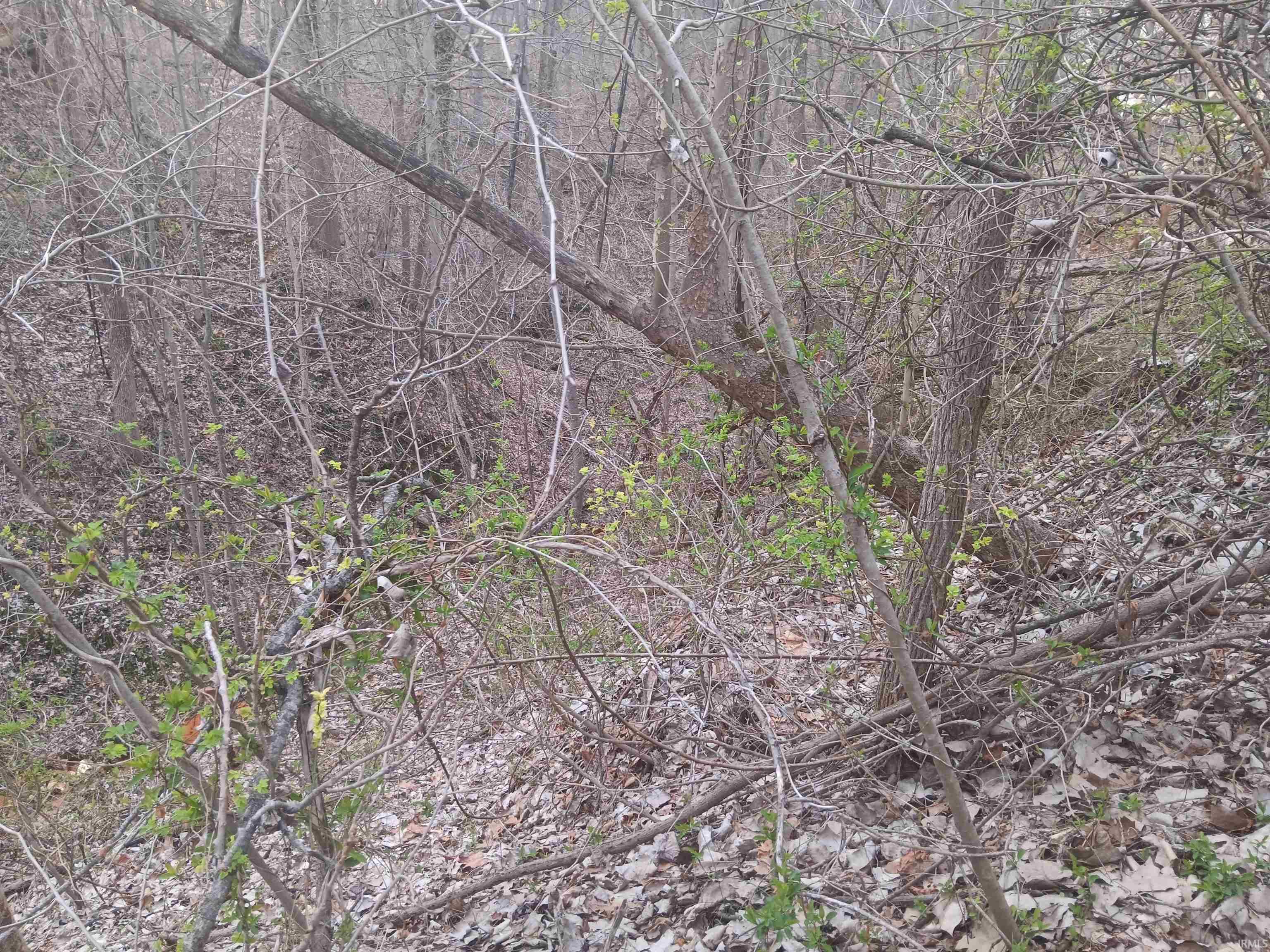 10801 Buckskin Road Property Photo 1