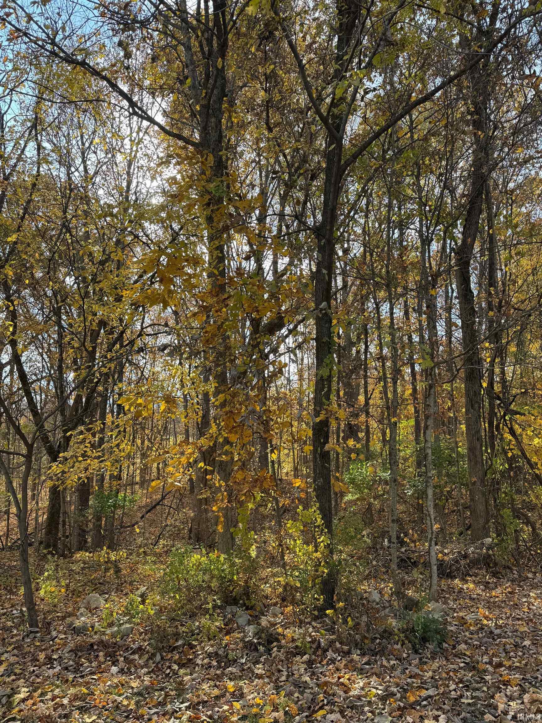 1240 S Barnes Drive Property Photo 1