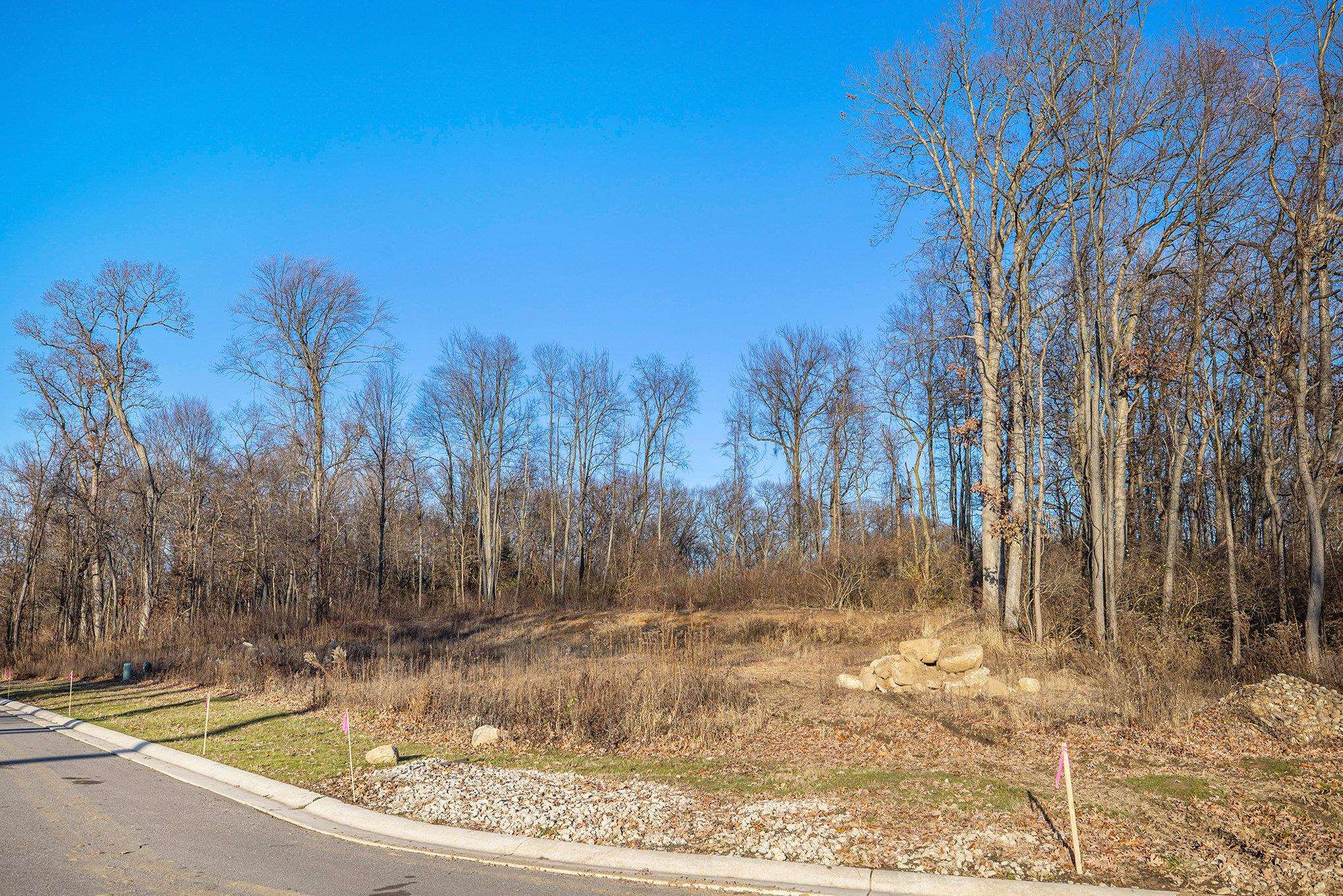 53402 Spring Blossom Court Property Photo 1