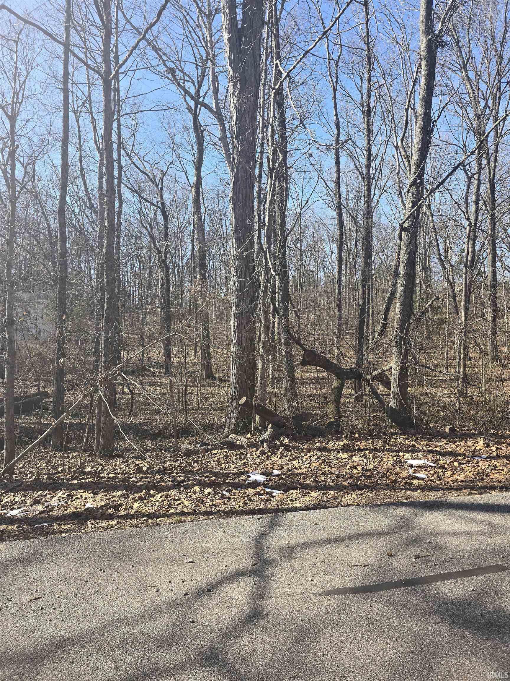 287 Tinsel Circle Property Photo 1
