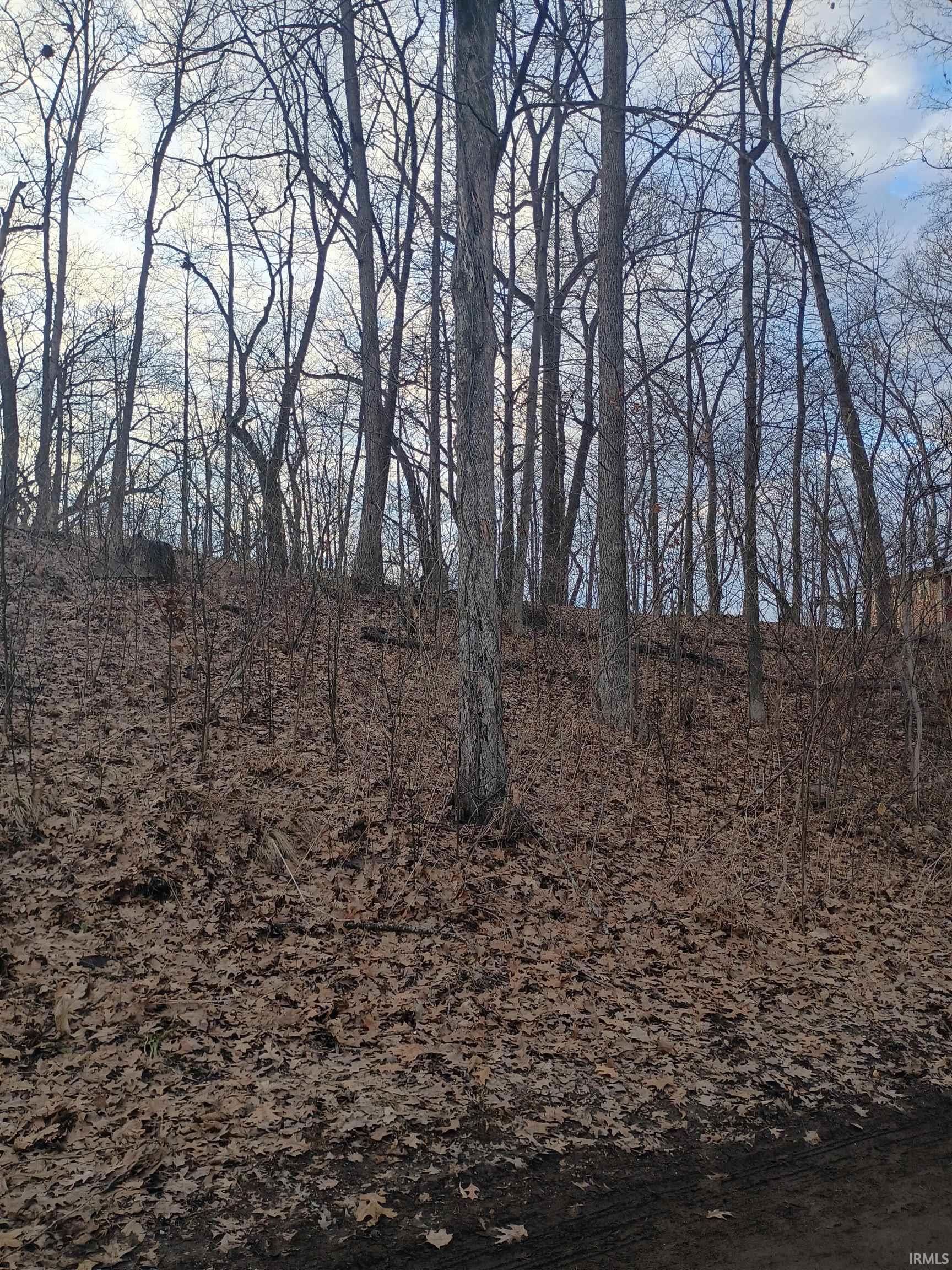 Ln 131 C Turkey Lake Lot # 23 &24 Property Photo 1
