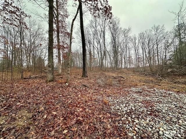 Tbd State Road 54 Property Photo 1