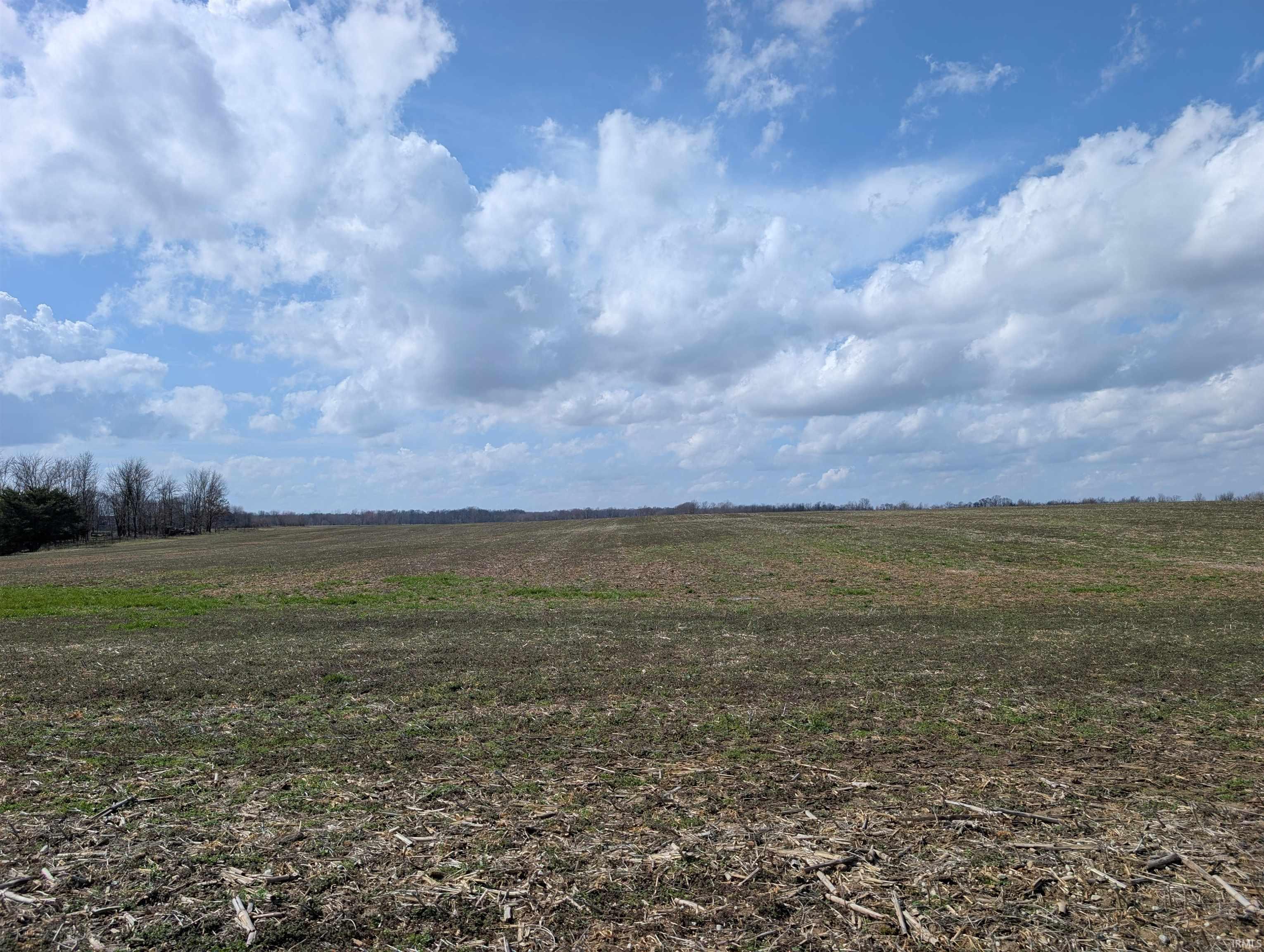 13+/- Acres 1200 E Property Photo 1