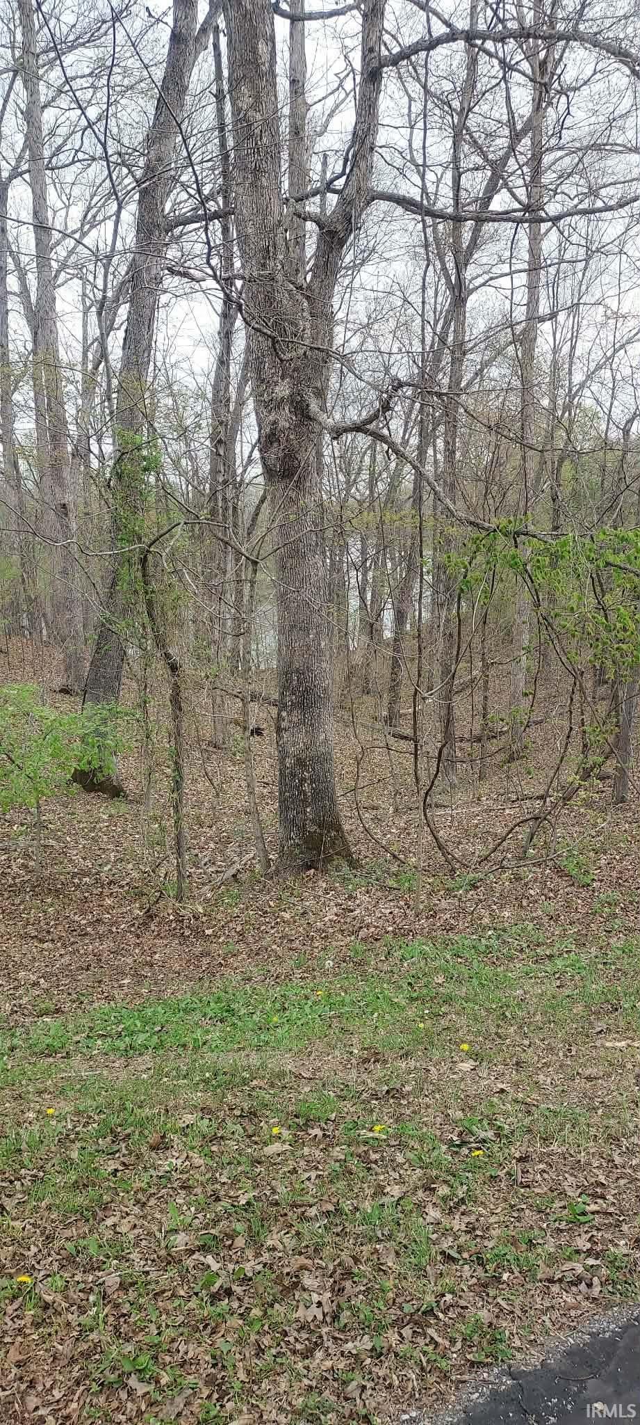 Lots 20a & 21 Hickory Ridge Lane Property Photo 1