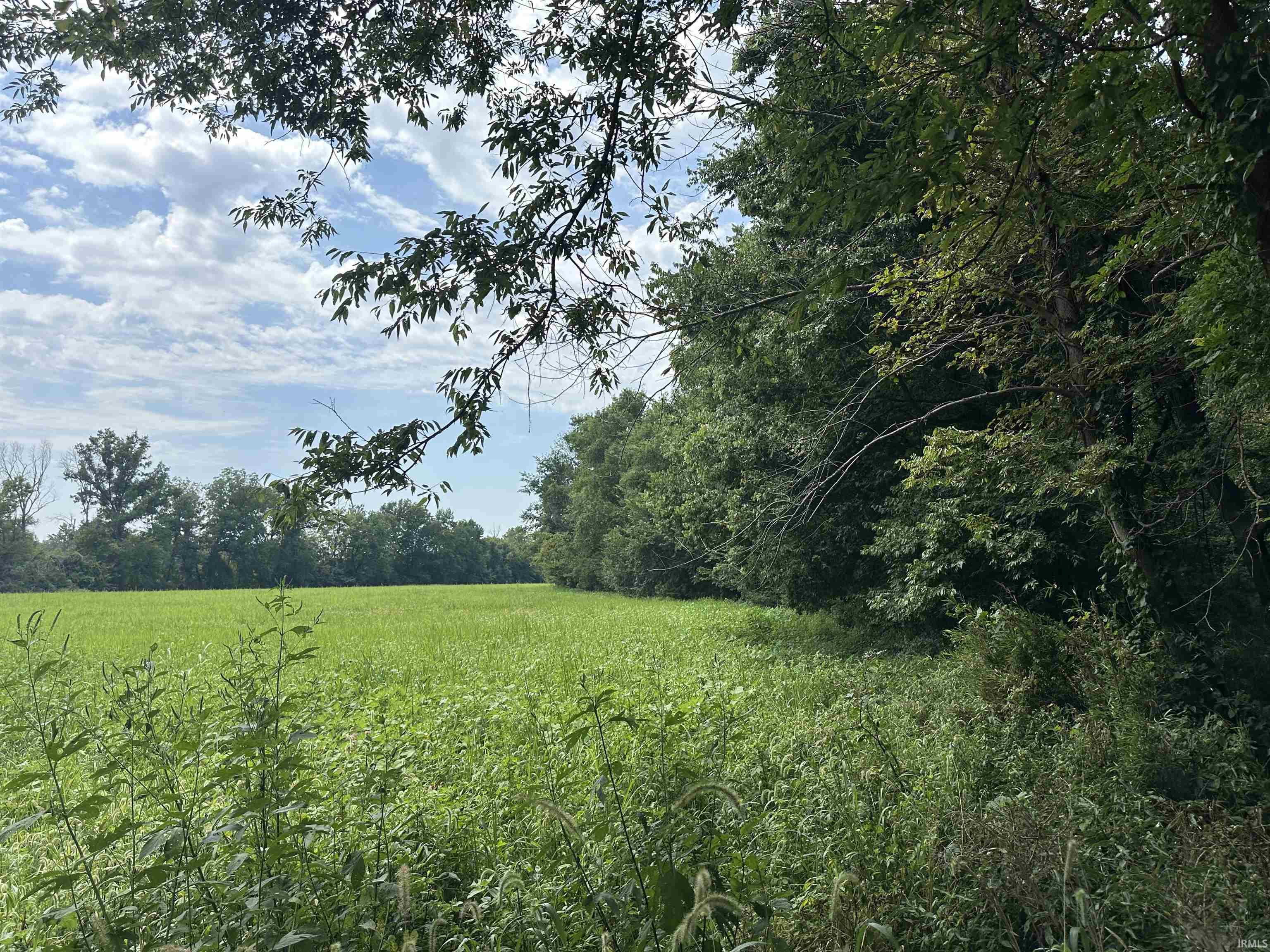 Tbd State Road 161 Property Photo 1