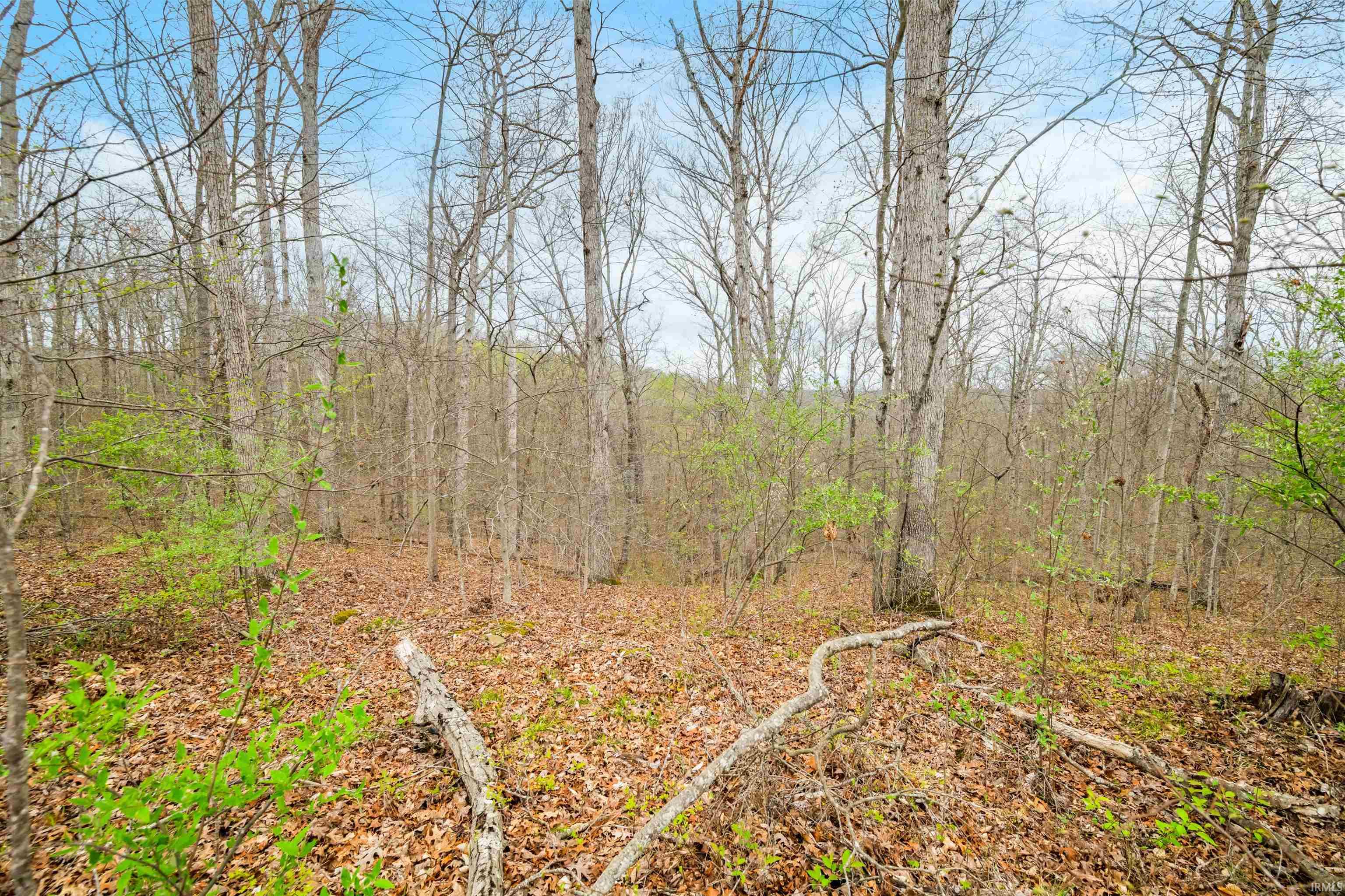 Lower Schooner Road Property Photo 1
