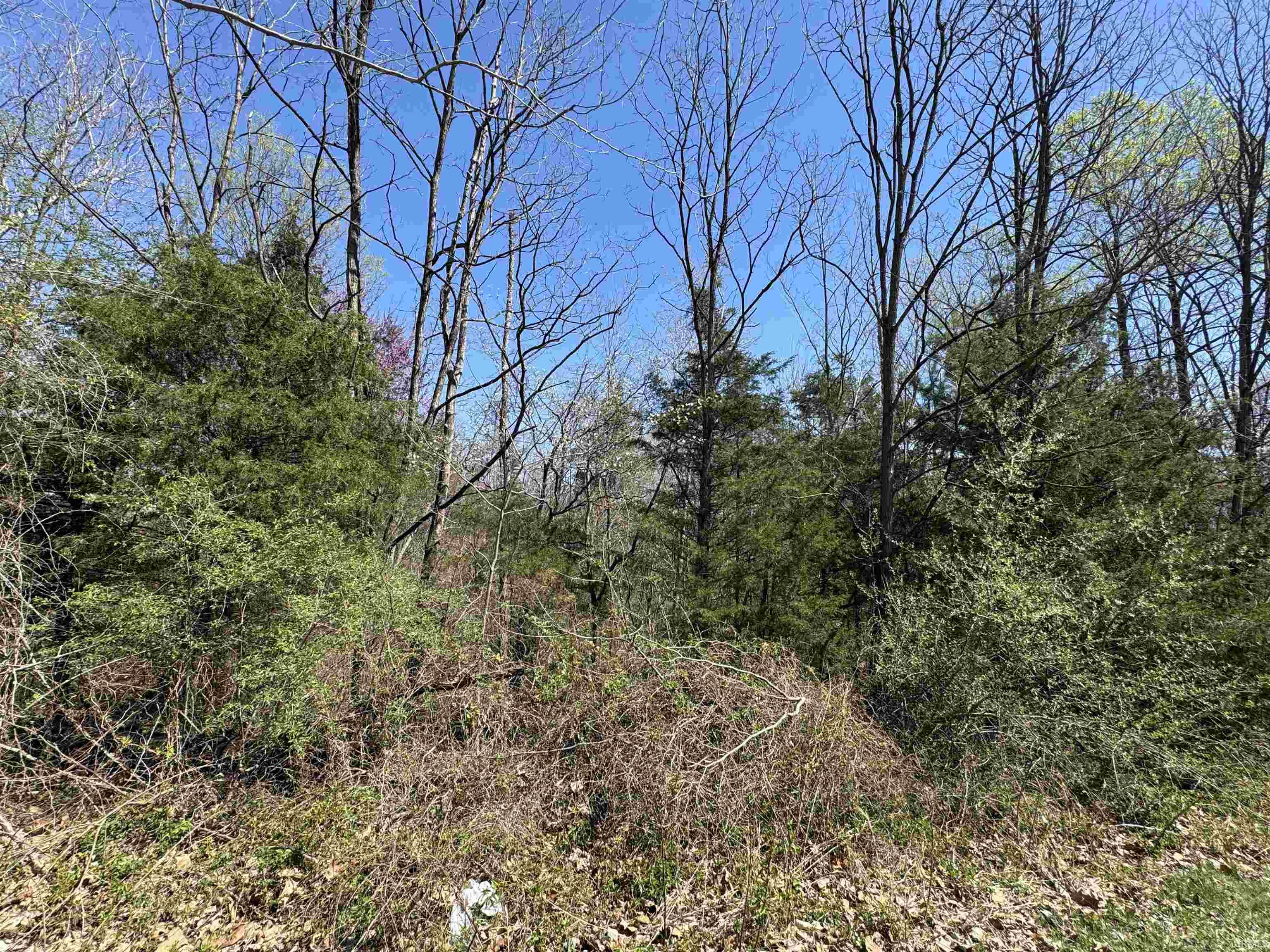 Lot B-21 Highway 46 Property Photo 1