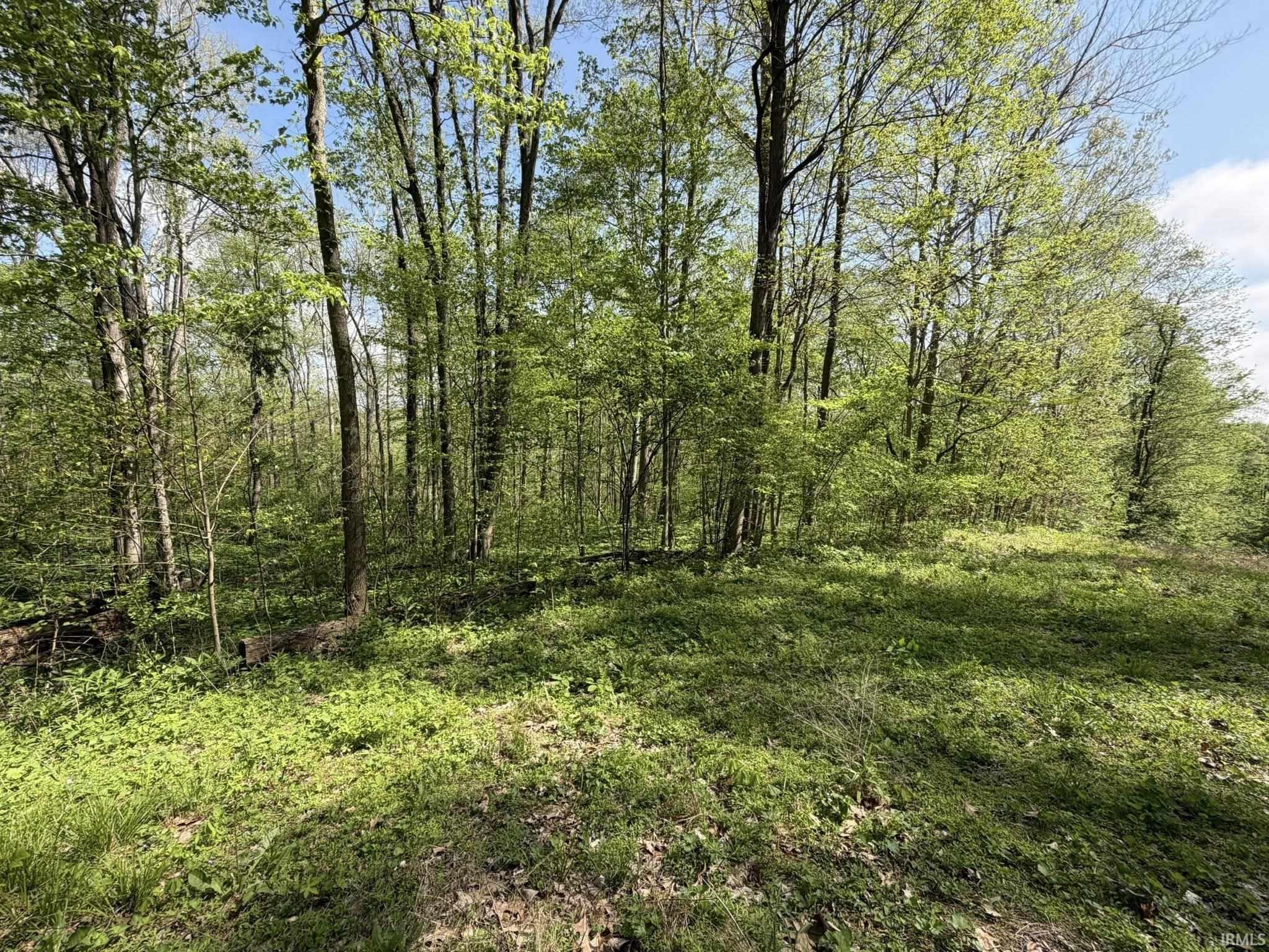 Tbd Coon Path Road Property Photo 1