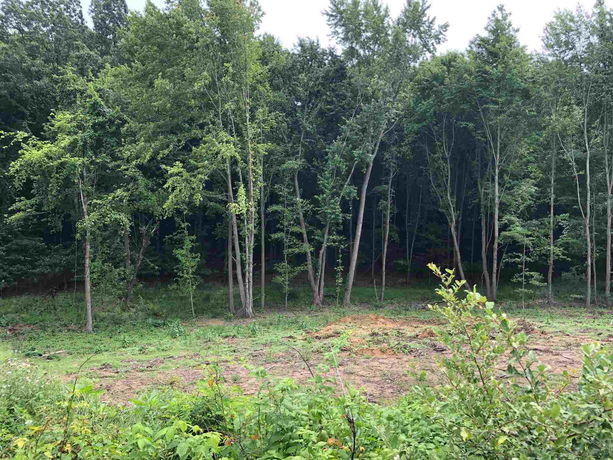 50890 Summit Ridge Trail Property Photo 1