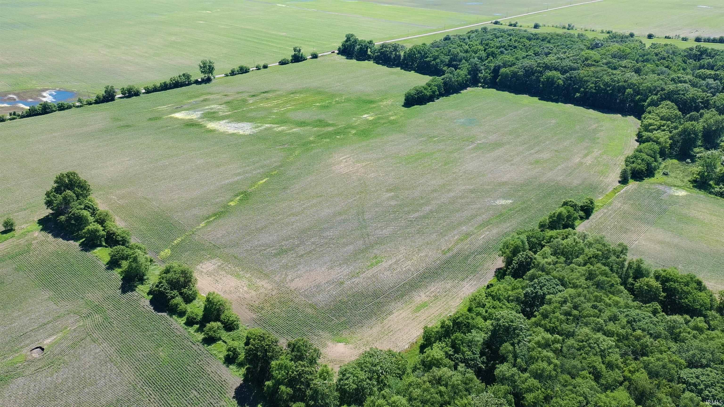 State Road Property Photo 1