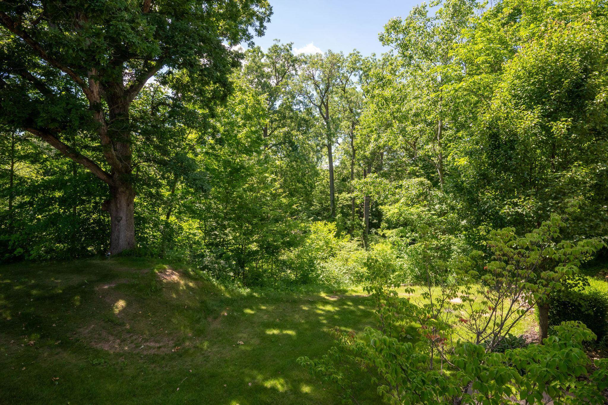 7296 N Clear Creek Road Property Photo 4