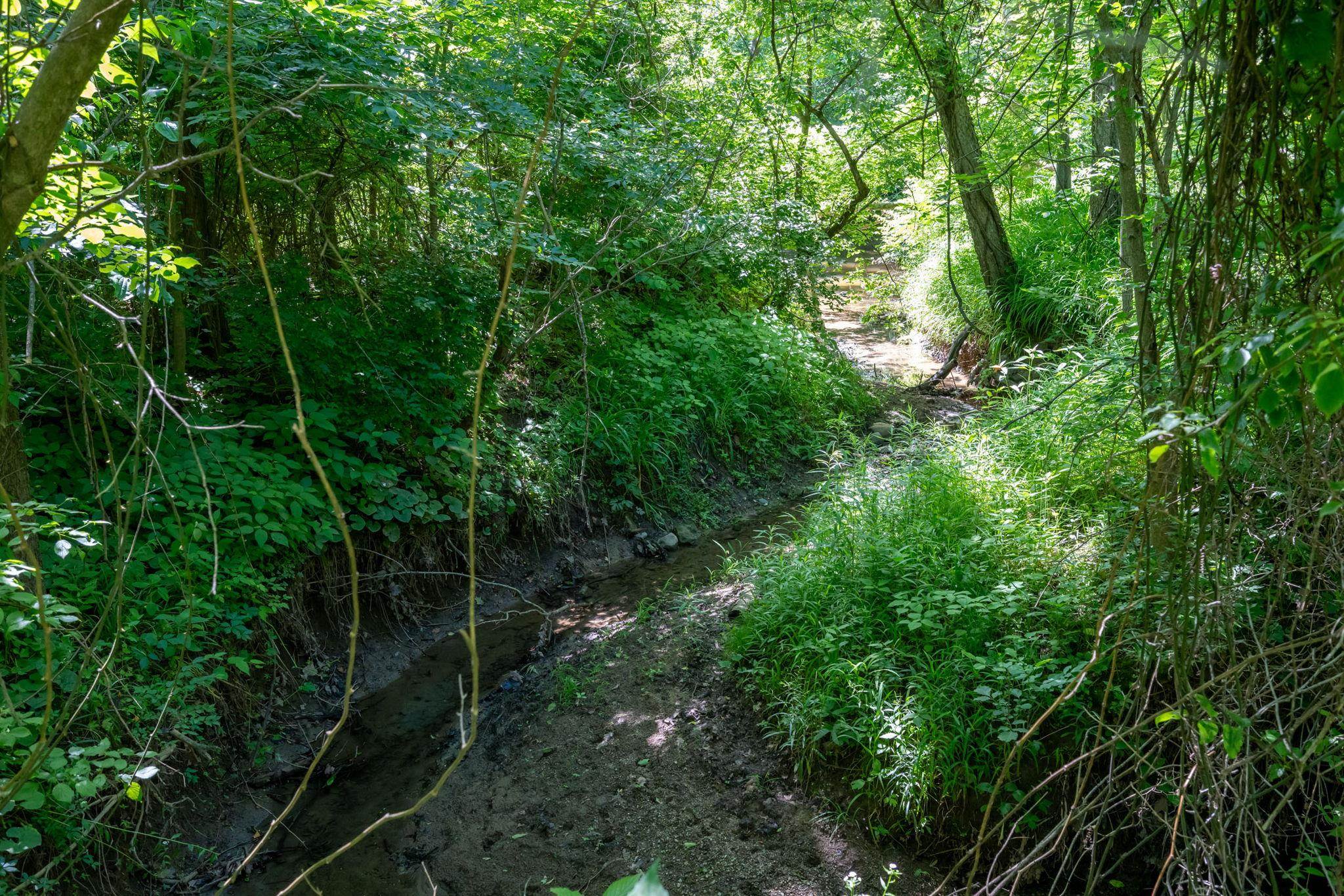 7296 N Clear Creek Road Property Photo 47