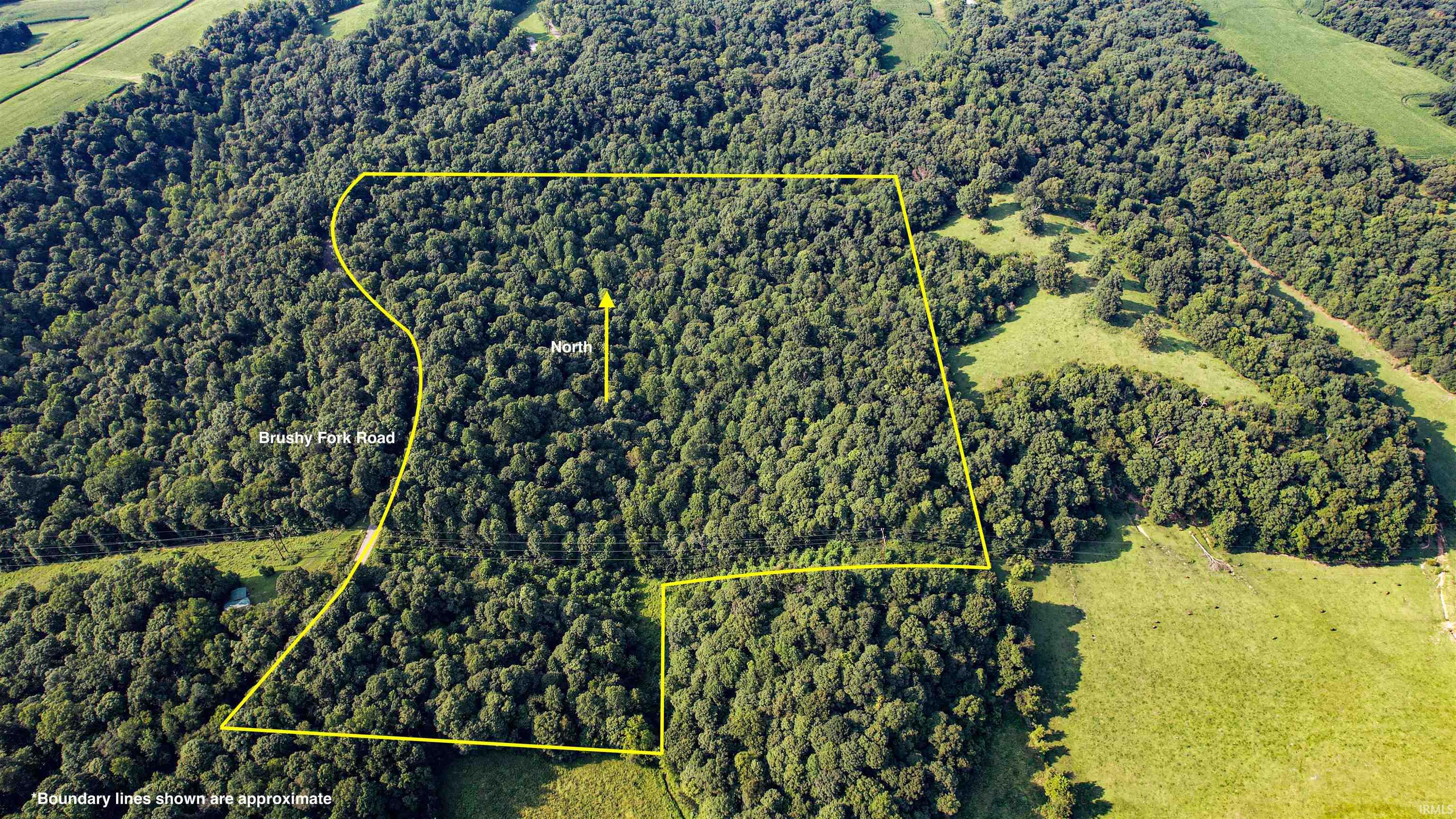 Brushy Fork Road Property Photo 1