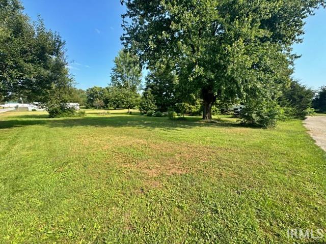 213 Vine Street Property Photo 1