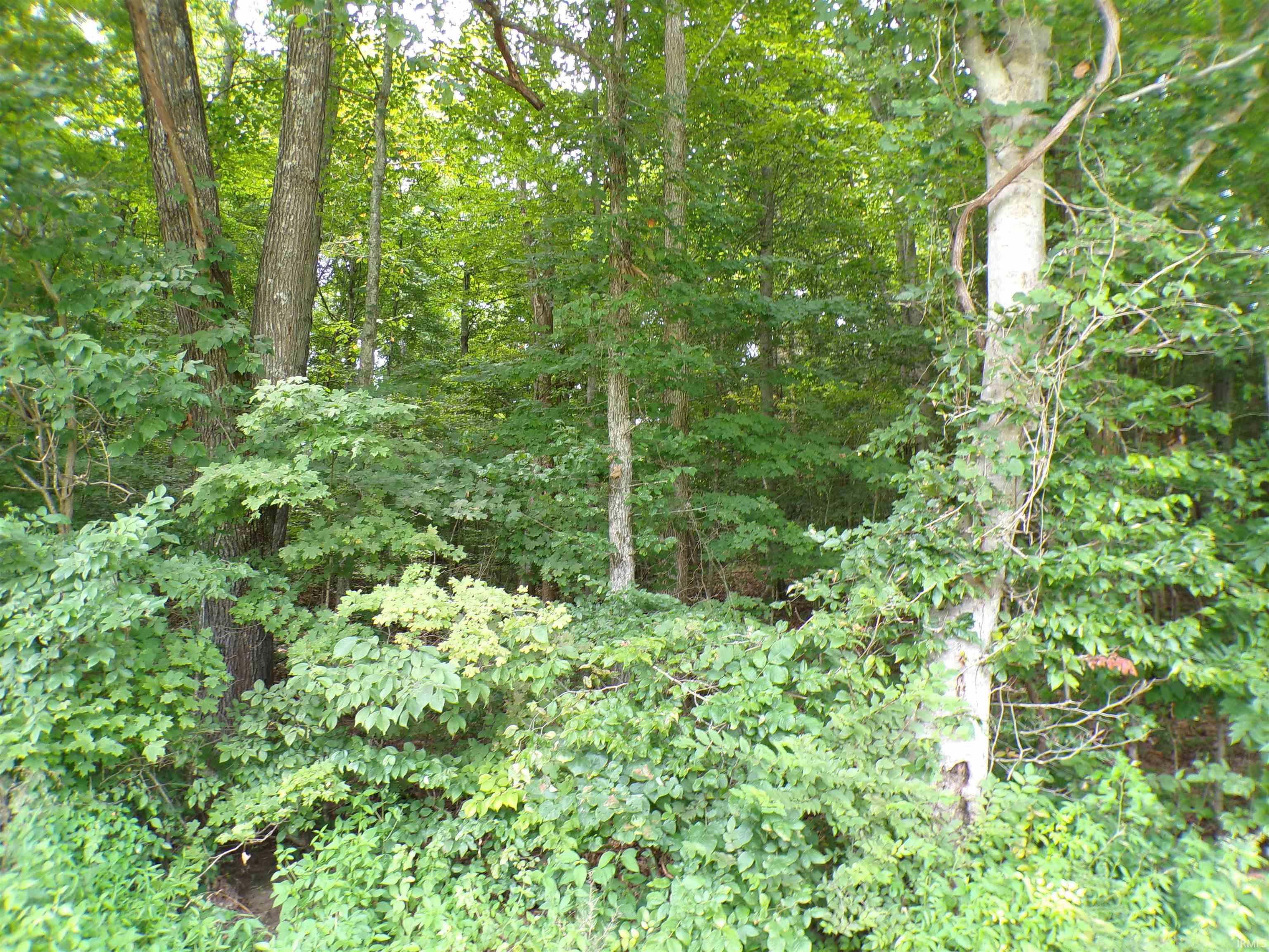 0 S Co Rd 350 W Boulevard Property Photo 1