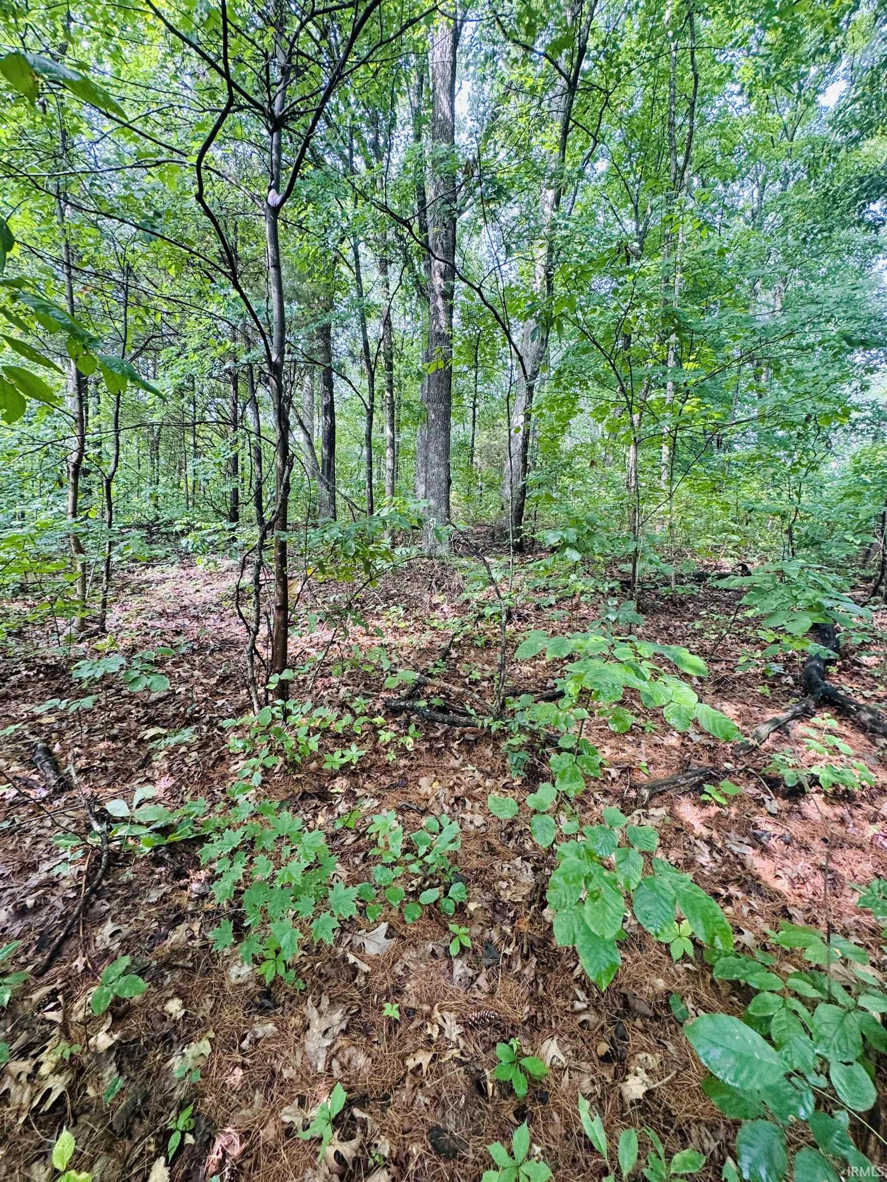 0 State Road 45 Highway Property Photo 1