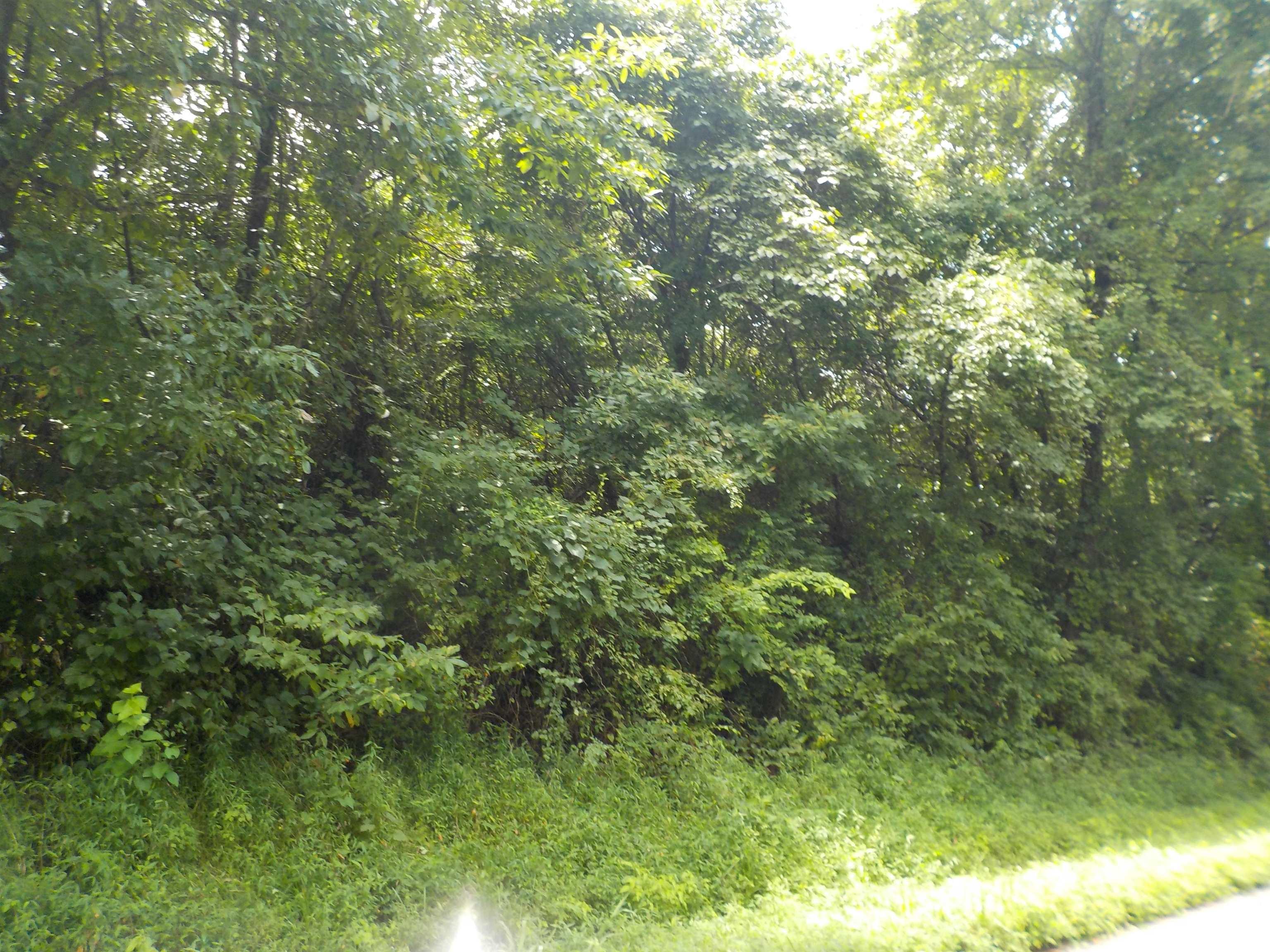 0 E Cr 457 S Road Property Photo 1