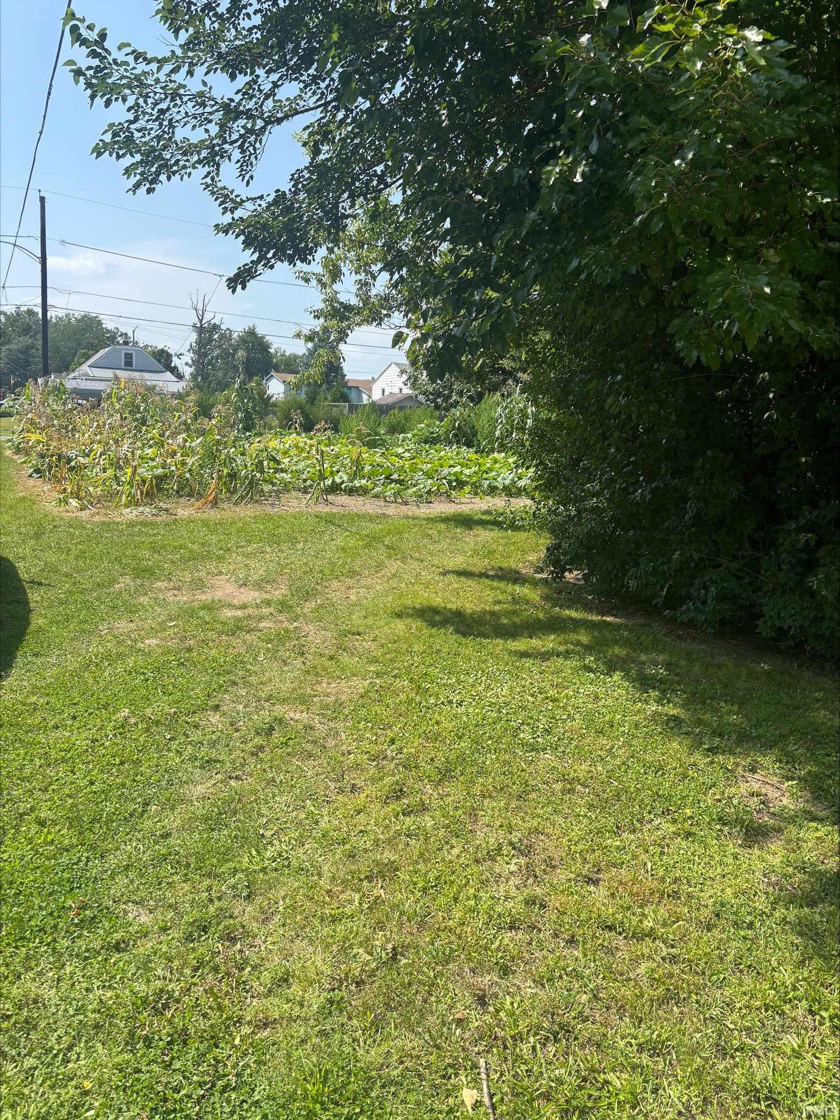 0000 Webster Street Property Photo 1