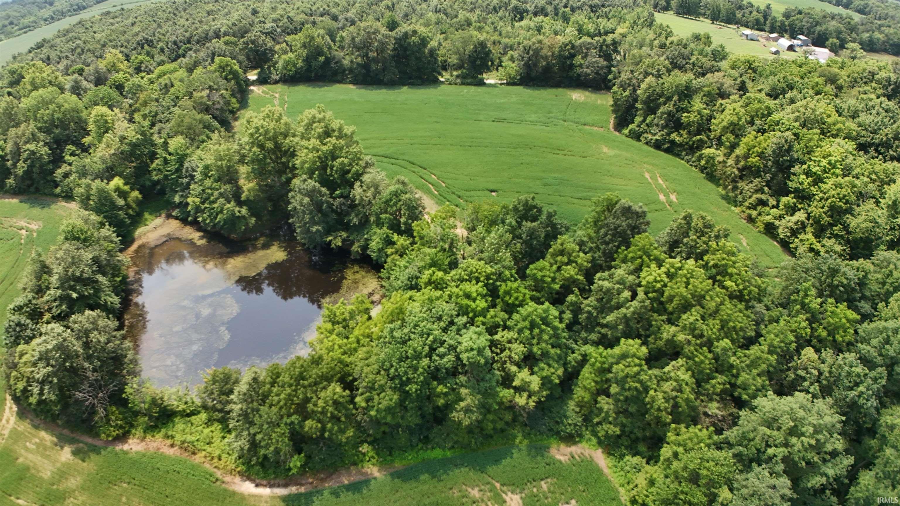 13 Acres 300 S & 1200 E Road Property Photo 1