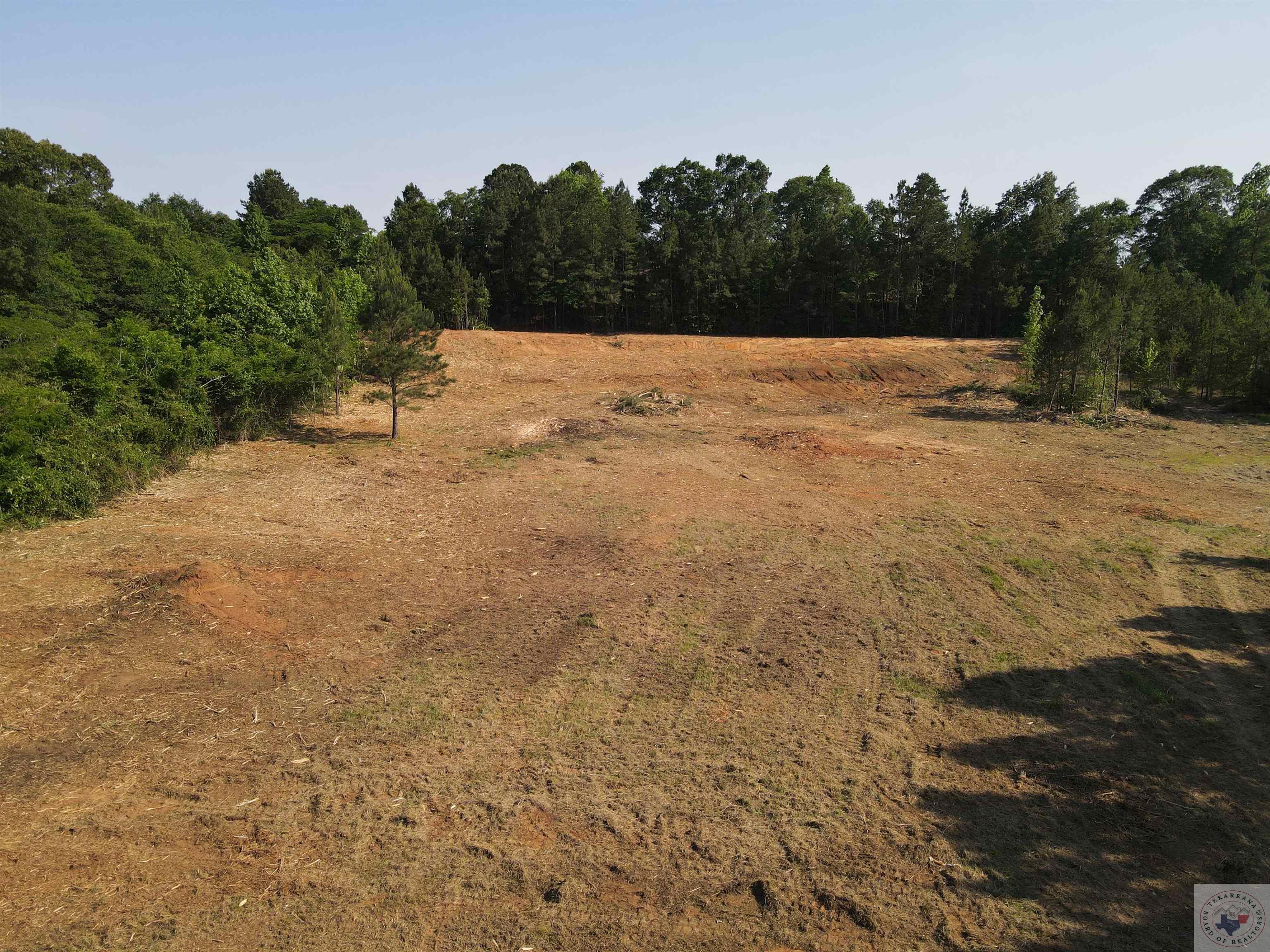 Tbd 1 Hwy 59 Loop Property Photo 1