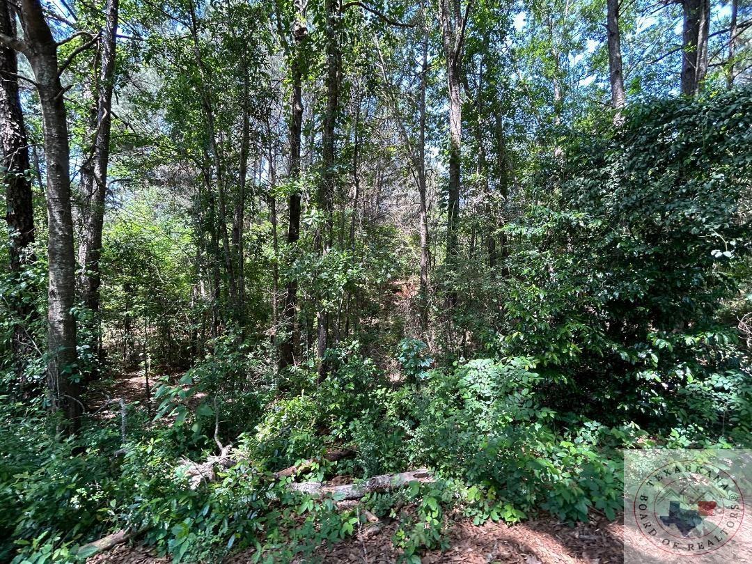 Tbd Miller St. Property Photo 4
