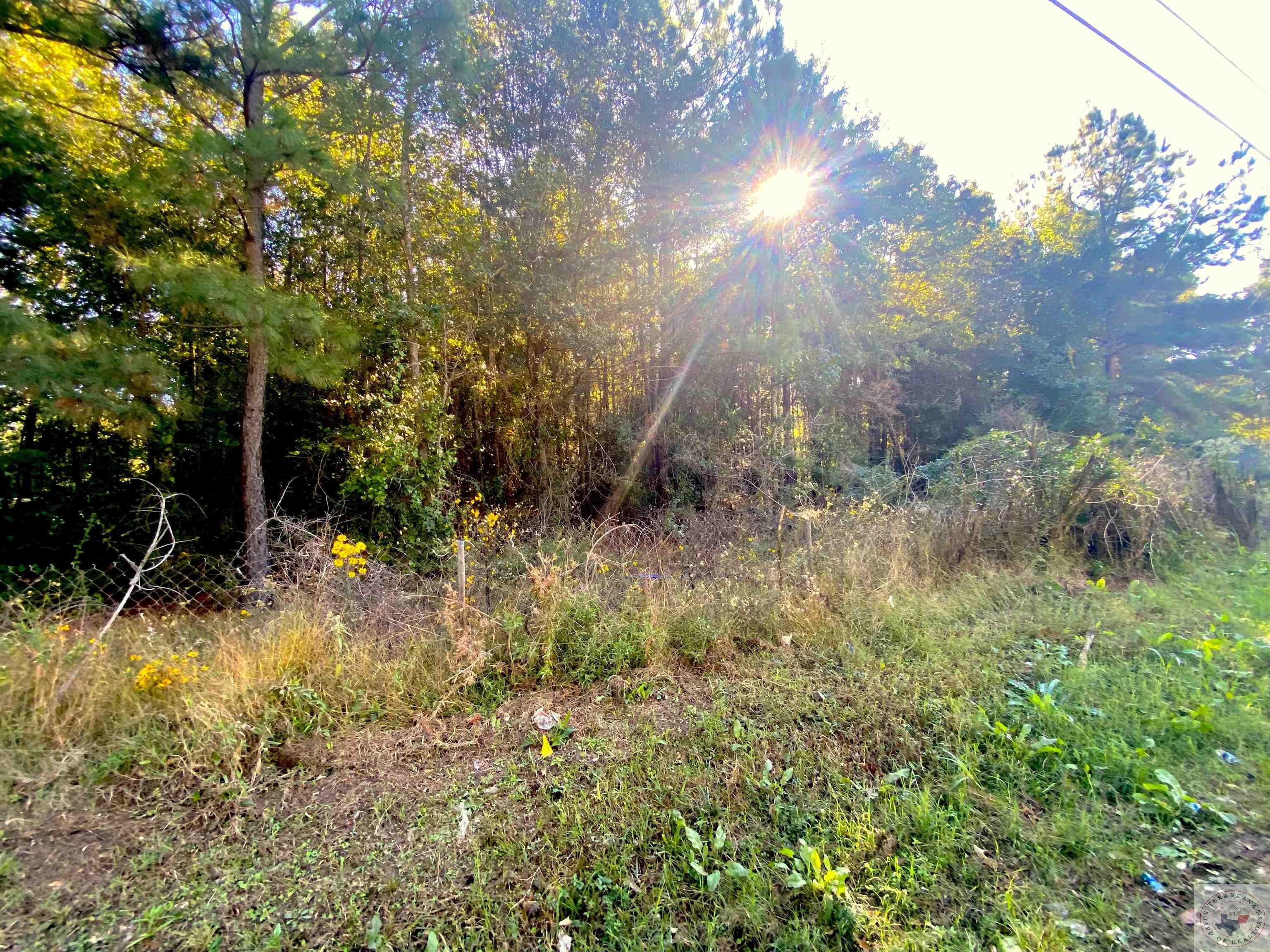 Lot 22 & 23 S Wake Village Rd Property Photo 1