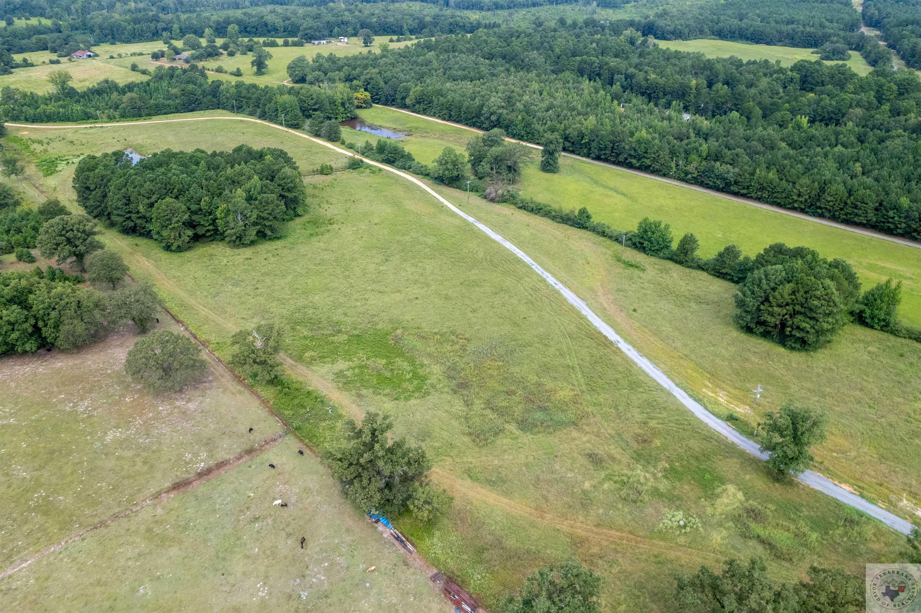 Lake Cou (lot 1 & 1a) Tx-77 Property Photo 4