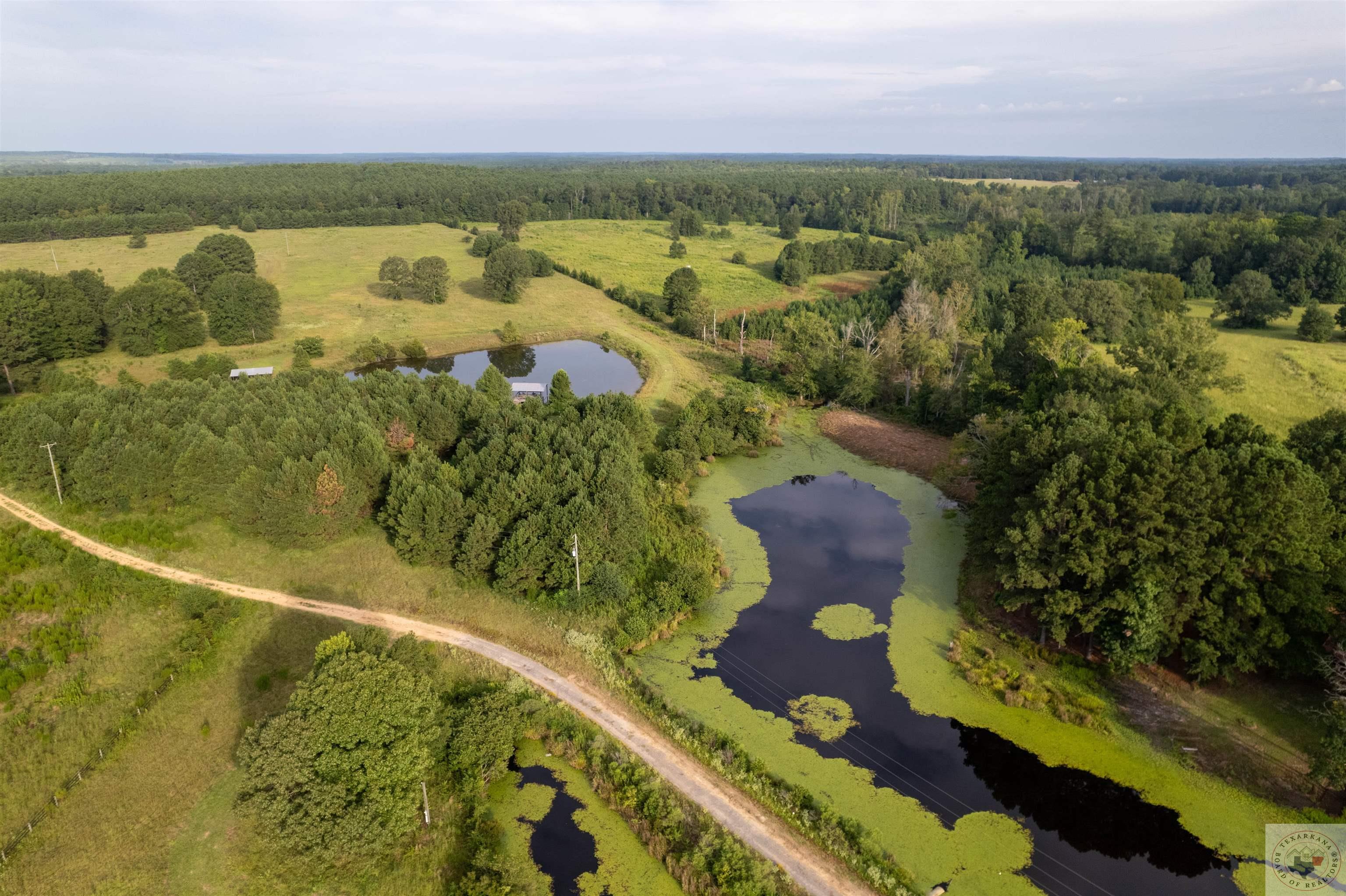 Lake Cou (lot 11) Tx-77 Property Photo 4