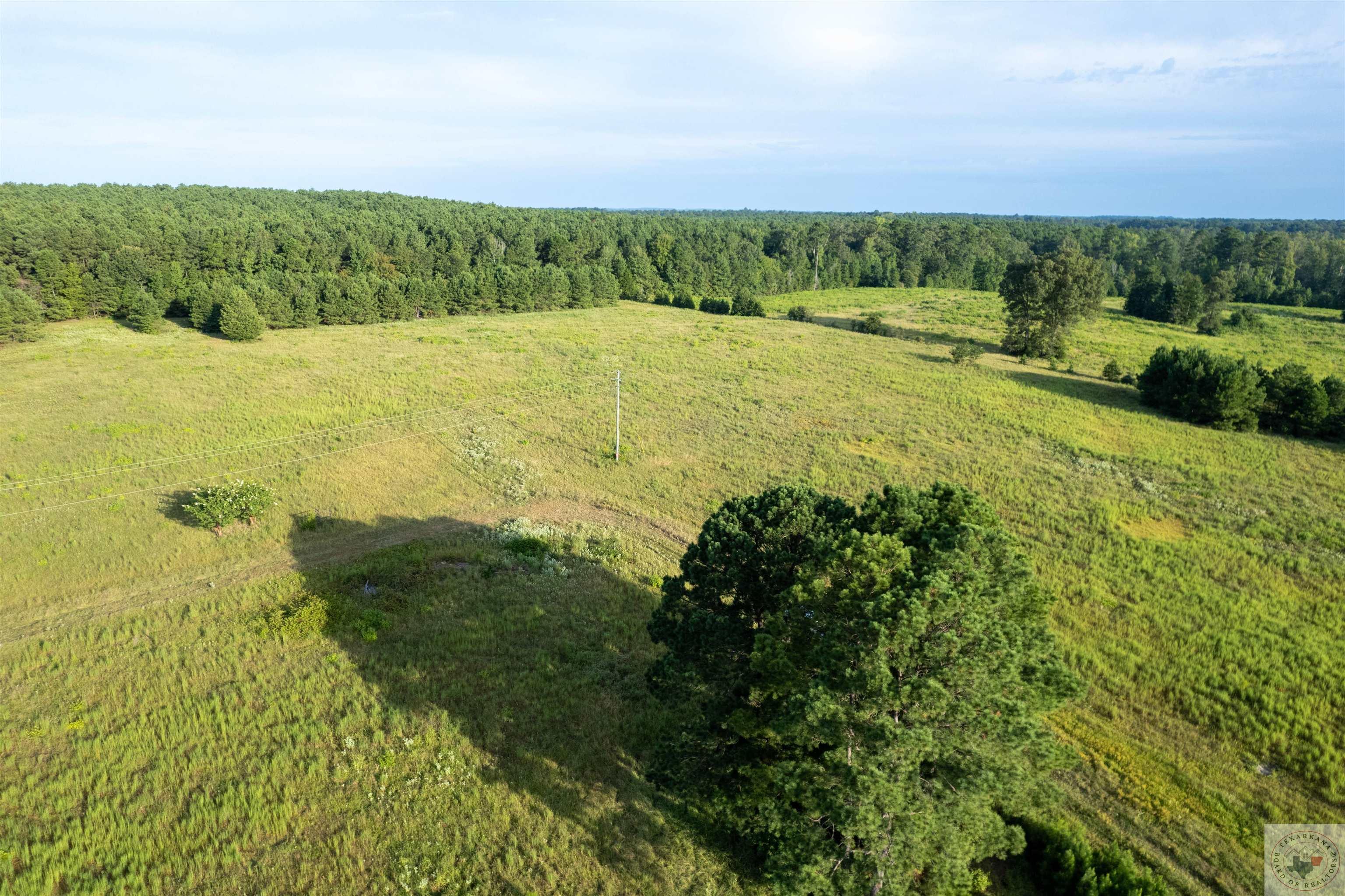 Lake Cou (lot 15) Tx-77 Property Photo 1