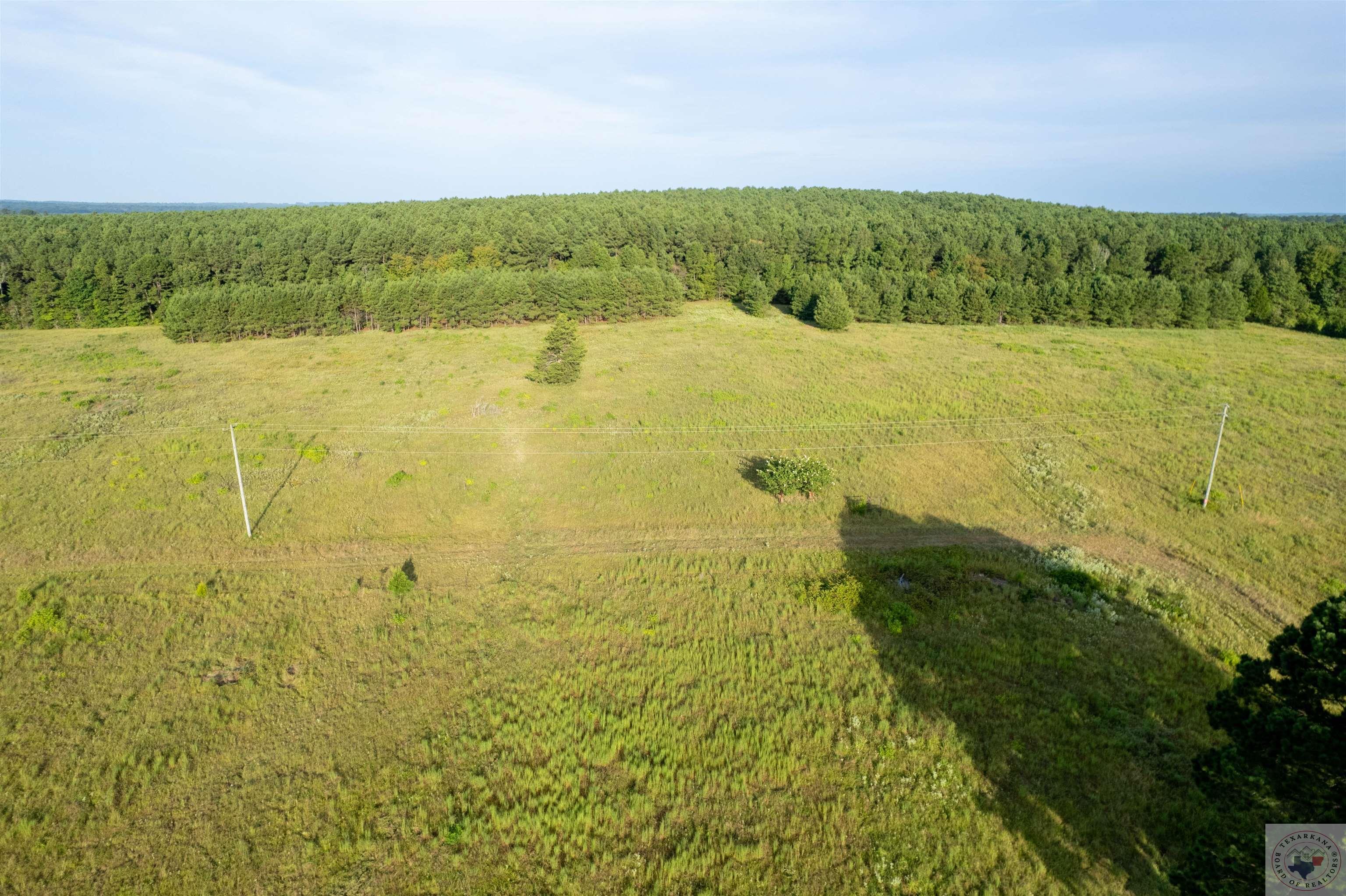 Lake Cou (lot 16) Tx-77 Property Photo 1