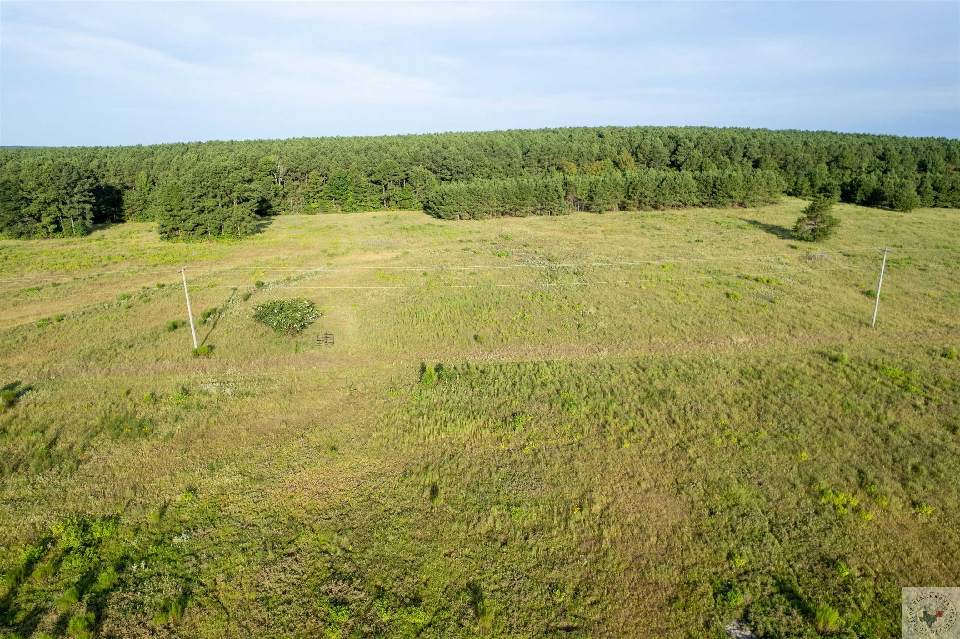 Lake Cou (lot 17) Tx-77 Property Photo 1