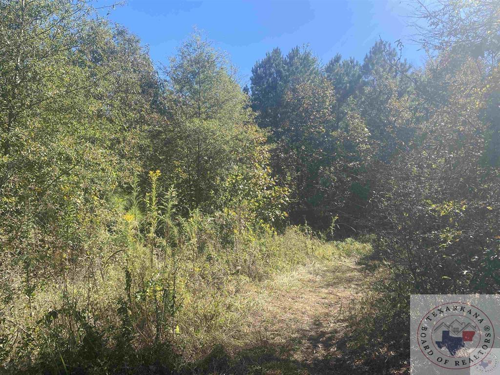 0 Cr 3301 Property Photo 1