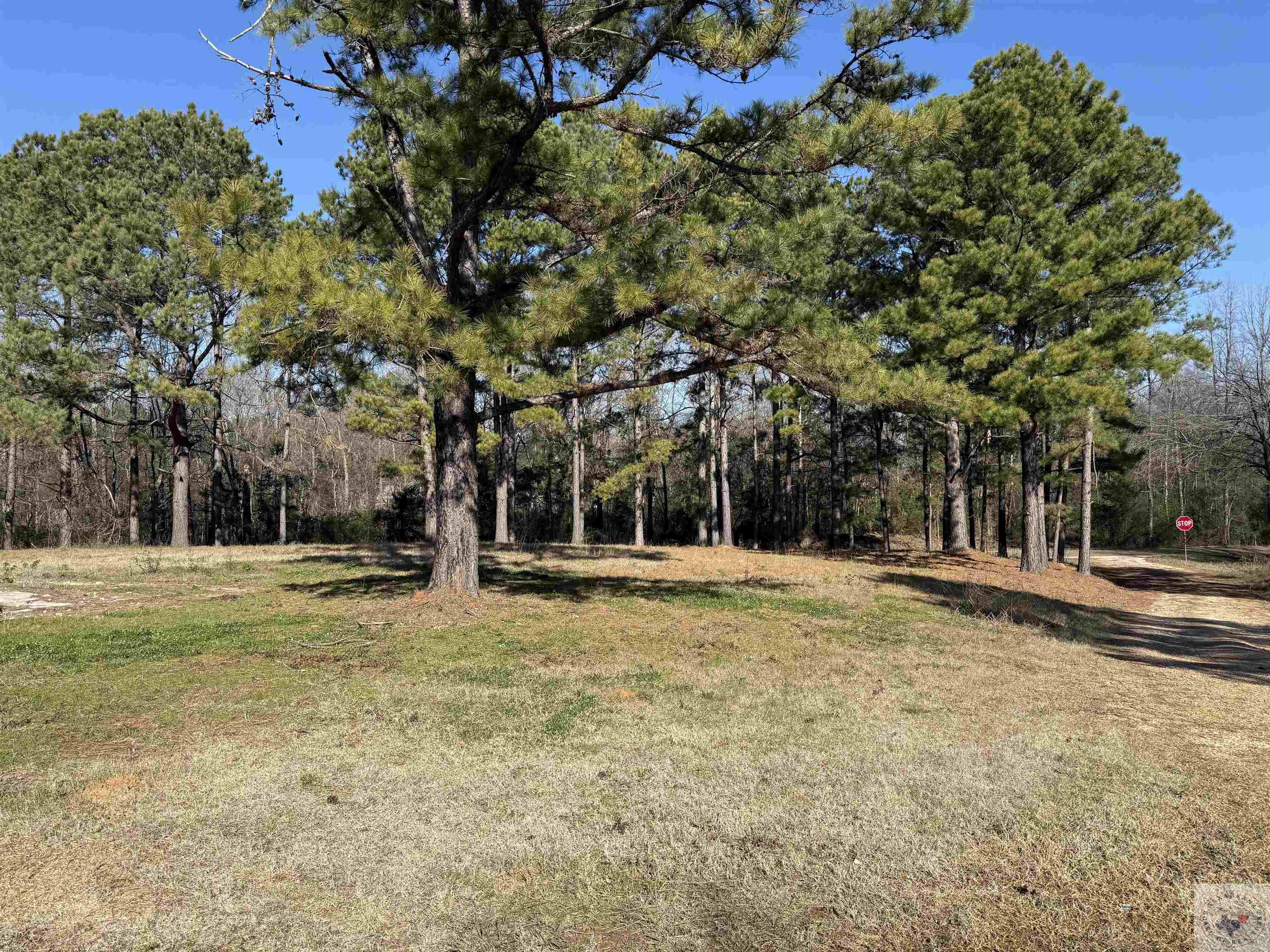 10743 Farm To Market Rd 561 Property Photo