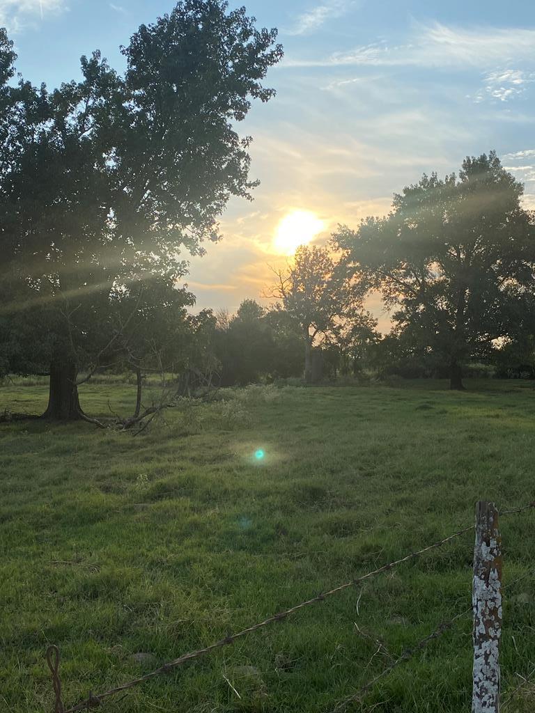 Tbd Fm 1840 Property Photo 1