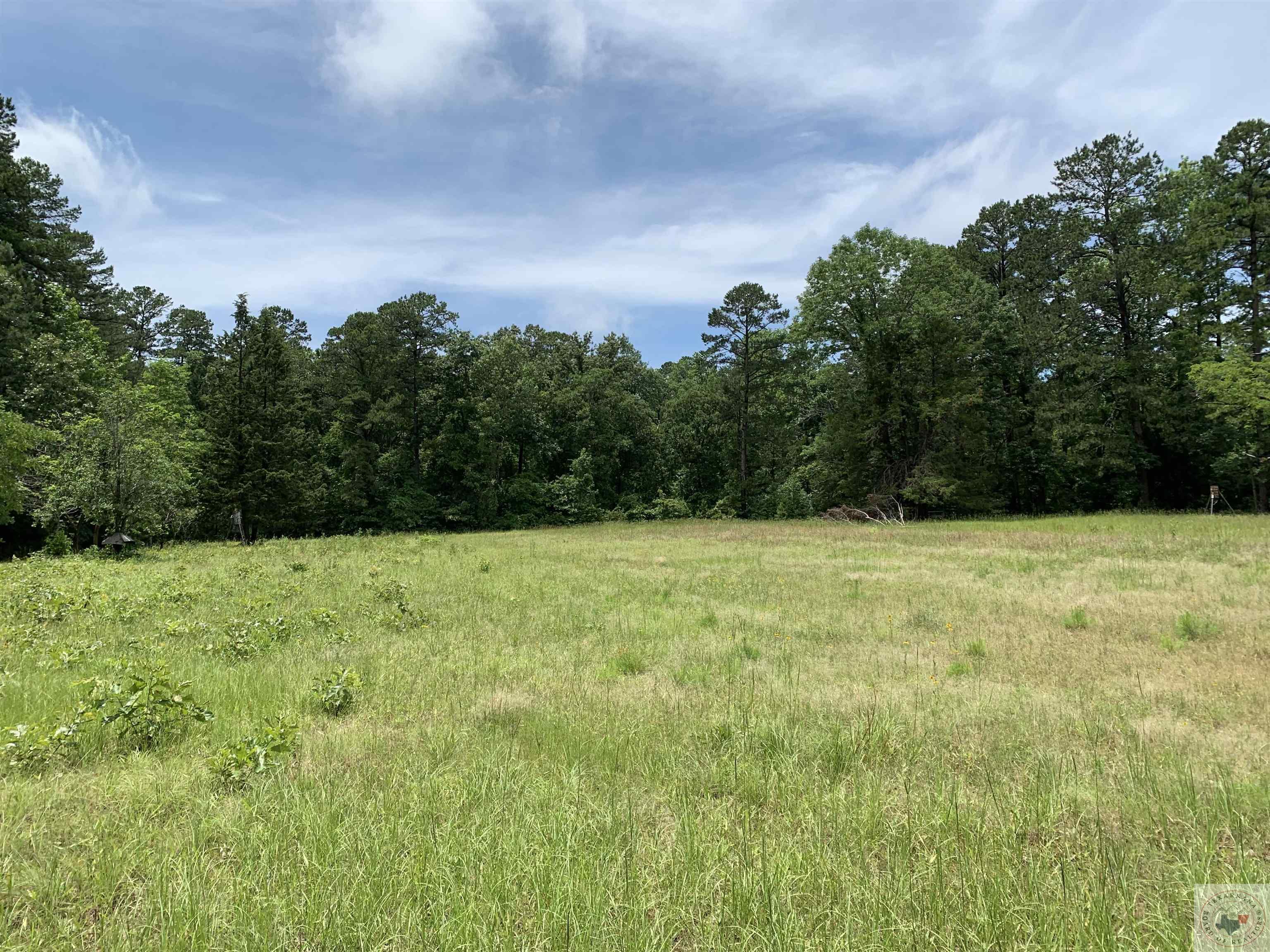 Tbd 3 Fold Rd Property Photo 1