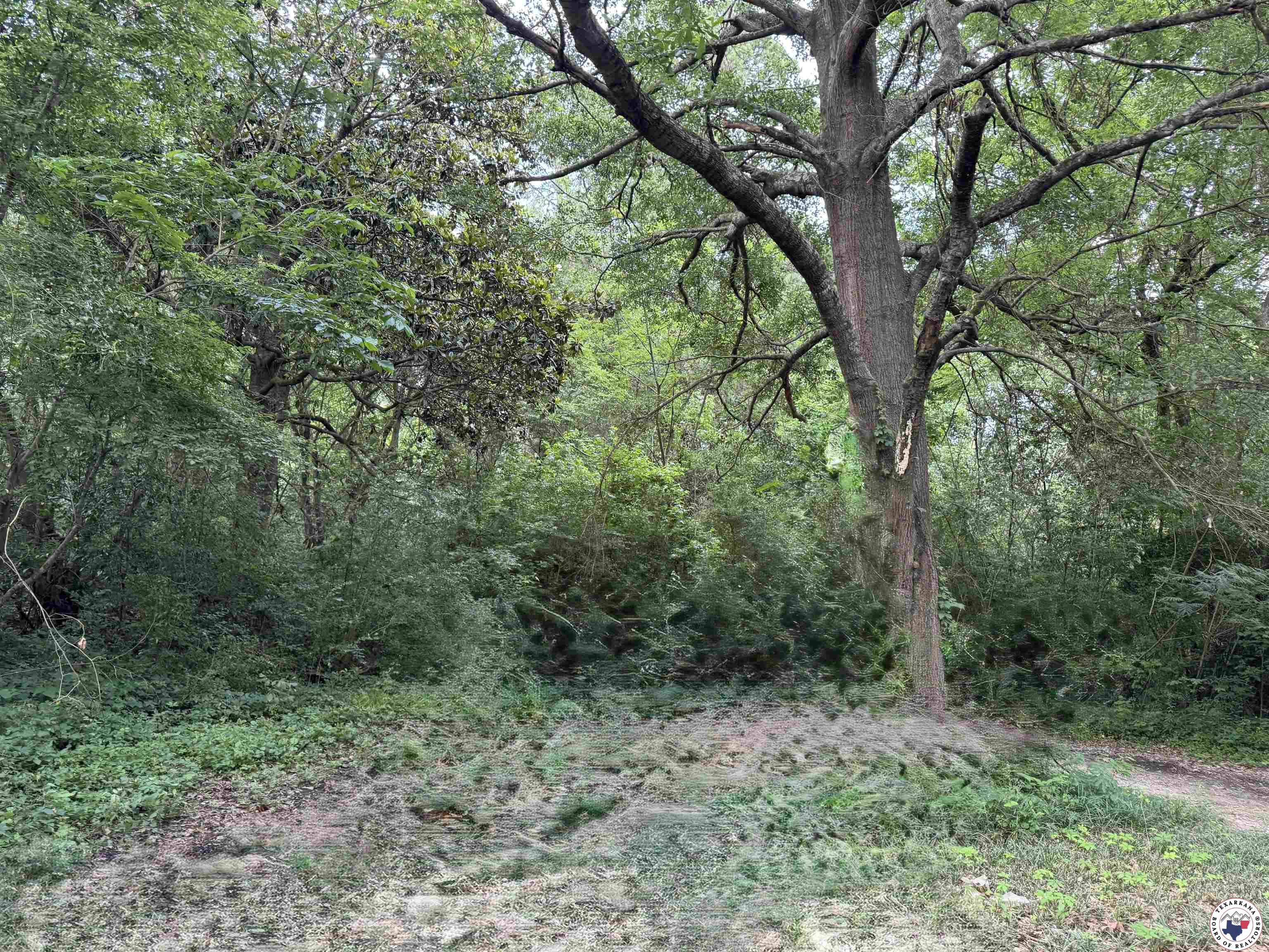 402 Griffin Property Photo 2