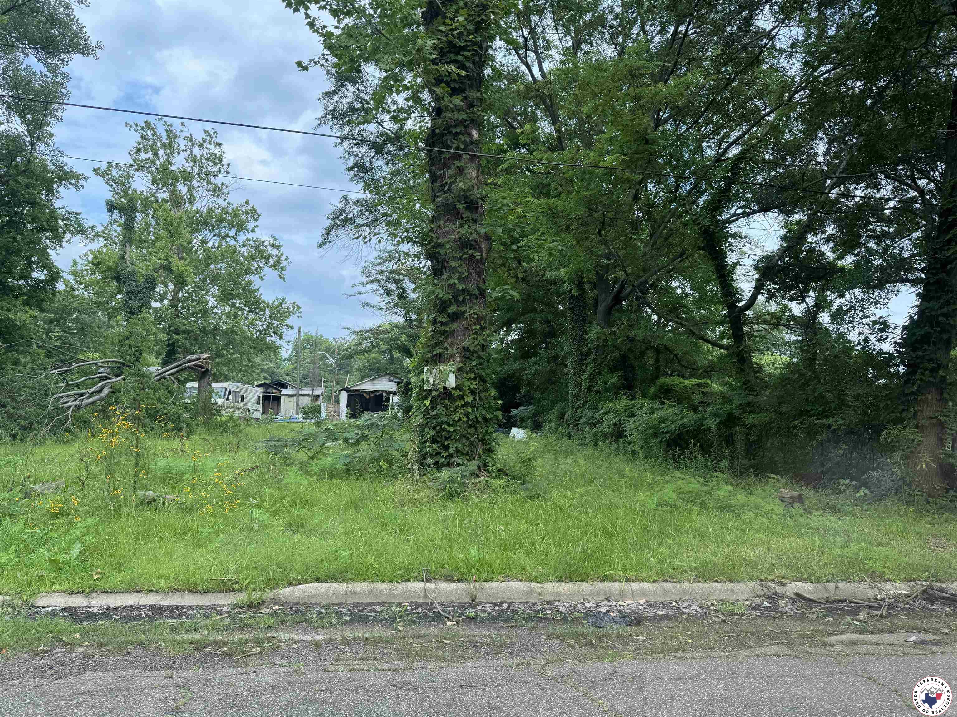 917 Capp Property Photo 2