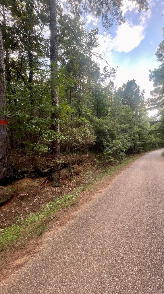 TBD Miller County 32 Property Photo 1