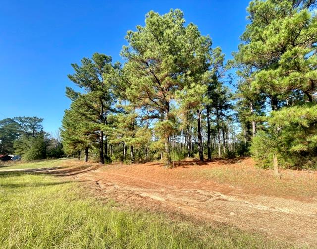 1407 Miller County 3 Property Photo 1