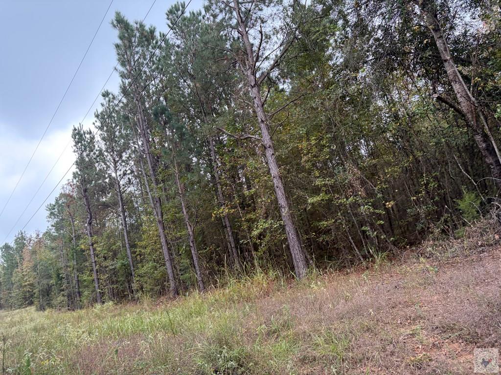 Tbd Mc 35 Property Photo 3