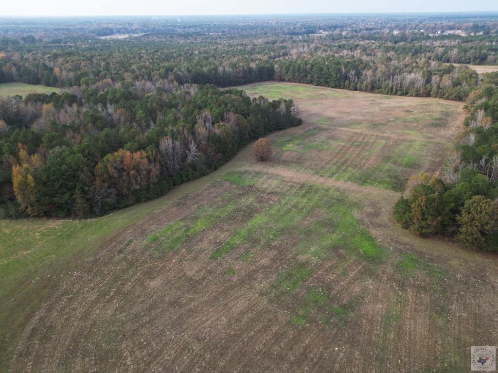 Tbd Redcut Rd Property Photo 4