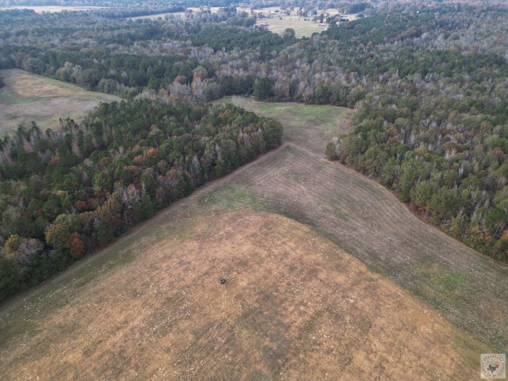 Tbd Redcut Rd Property Photo 7
