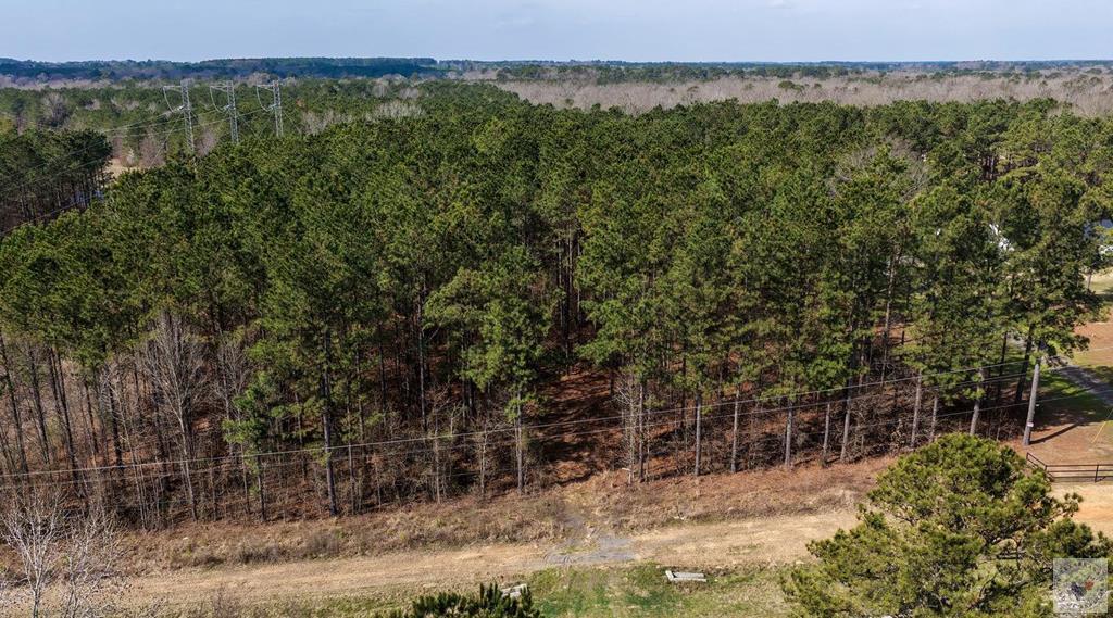 2515 & 2521 Fm 3098 Property Photo 1