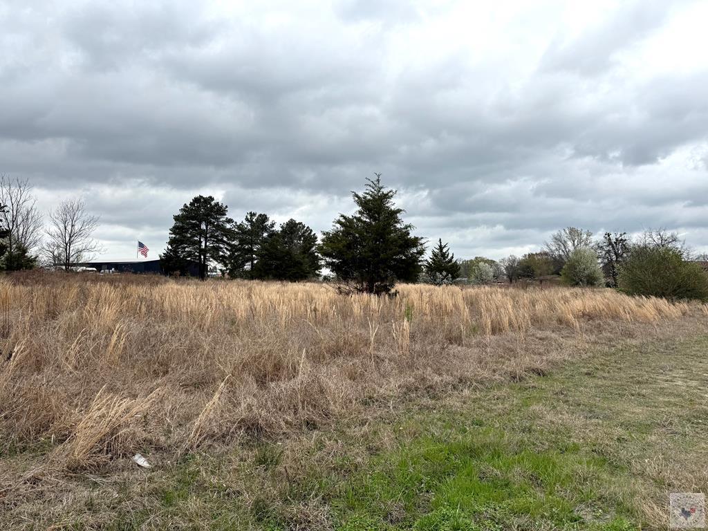 0 W Grizzly Dr Property Photo 1